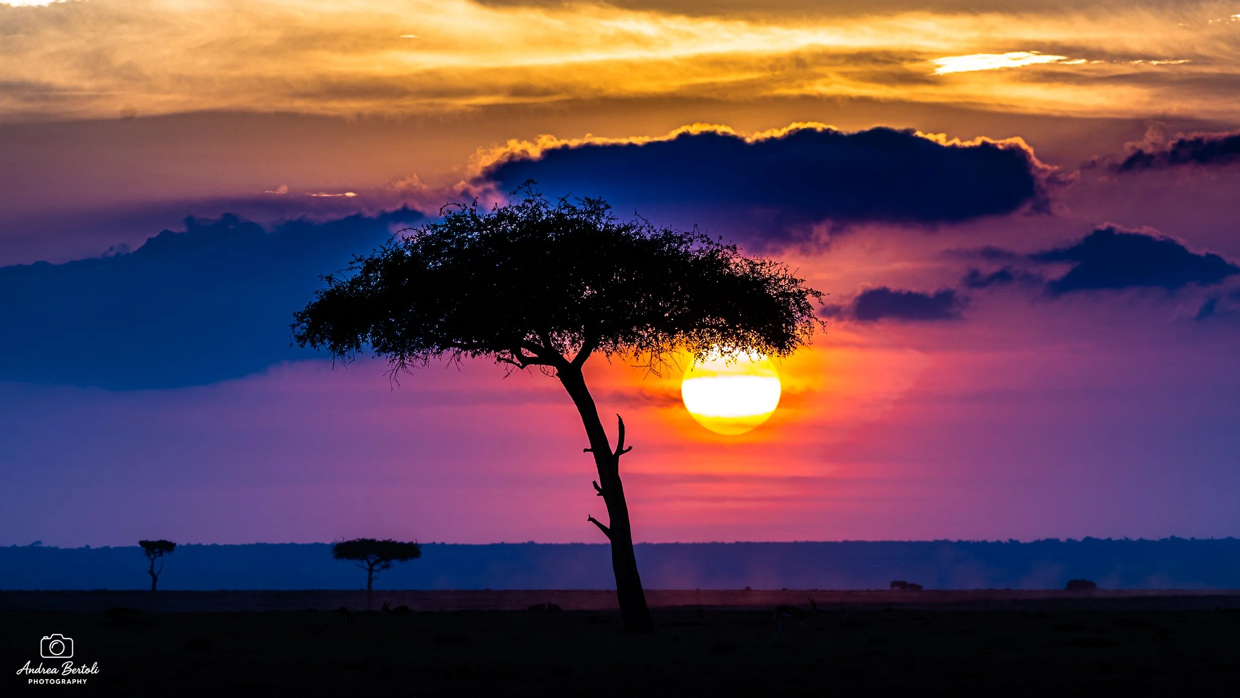 Tramonto su una pianura con un albero di acacia in primo piano, cielo con nuvole colorate di arancione, rosa e viola.