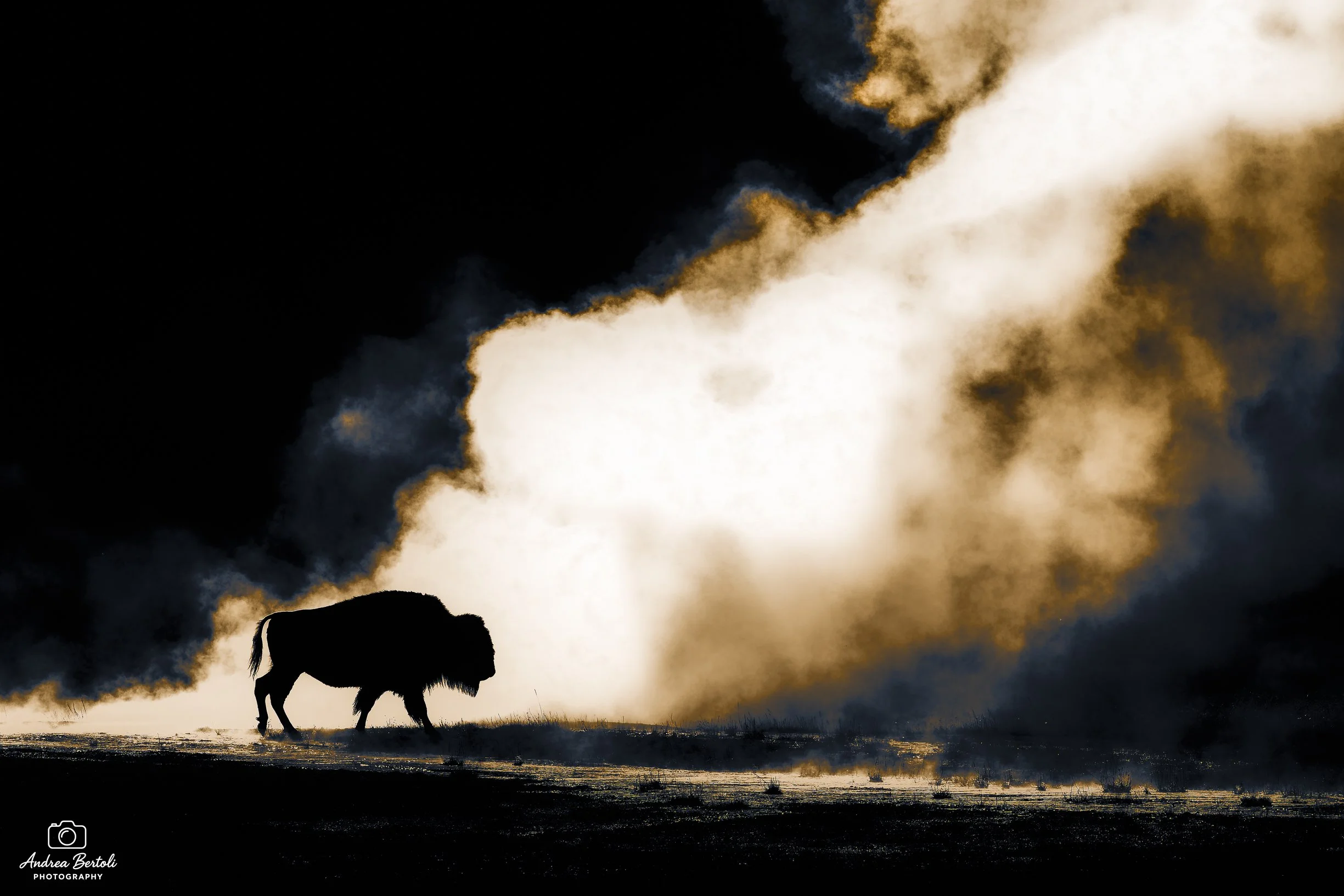 Un bisonte in piedi in un paesaggio del parco dello Yellowstone sotto nuvole di fumo e nuvole scure, con un cielo drammatico e toni dorati.