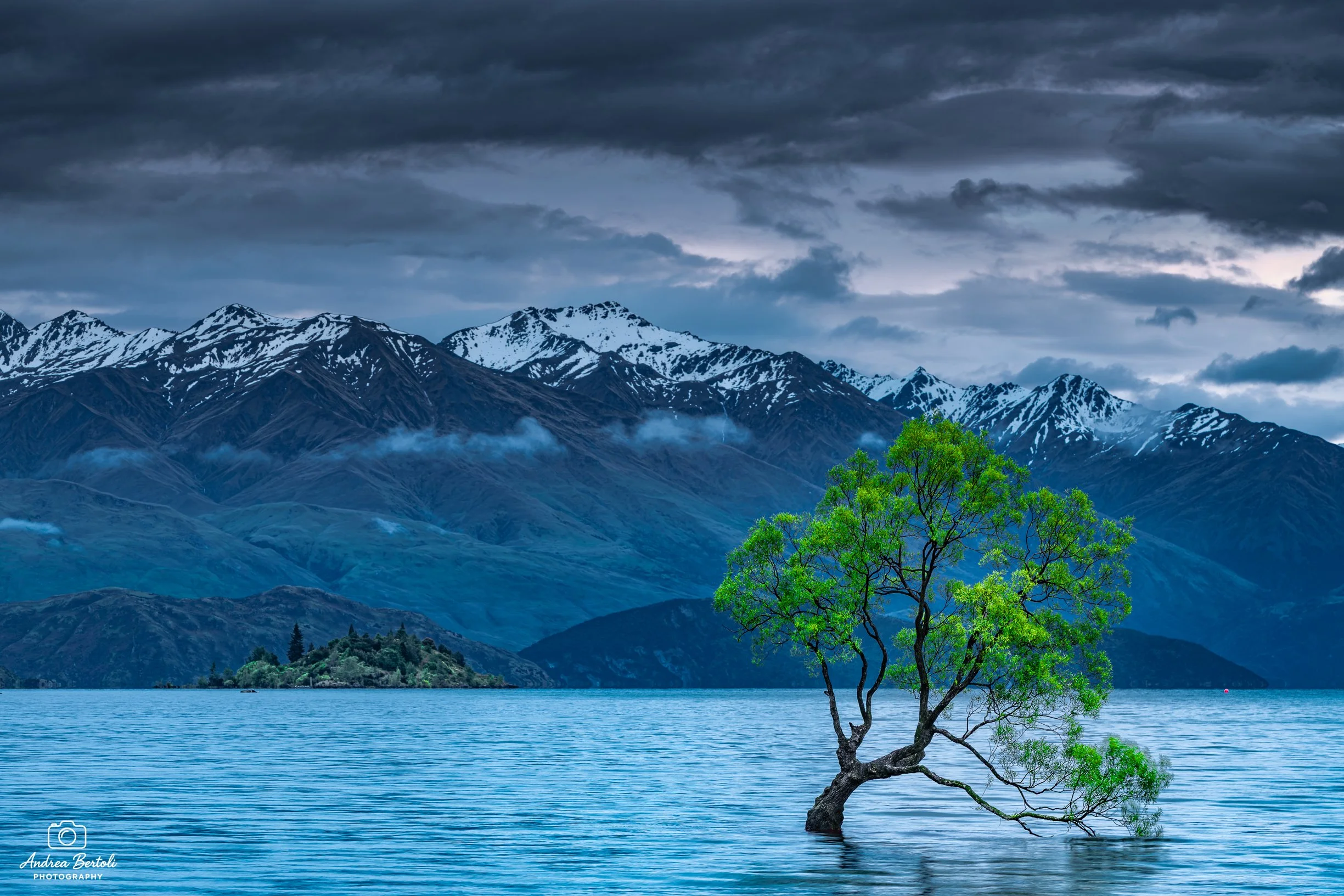 Wanaka Tree verdeggiante in primo piano in un lago con montagne innevate sullo sfondo sotto un cielo nuvoloso.