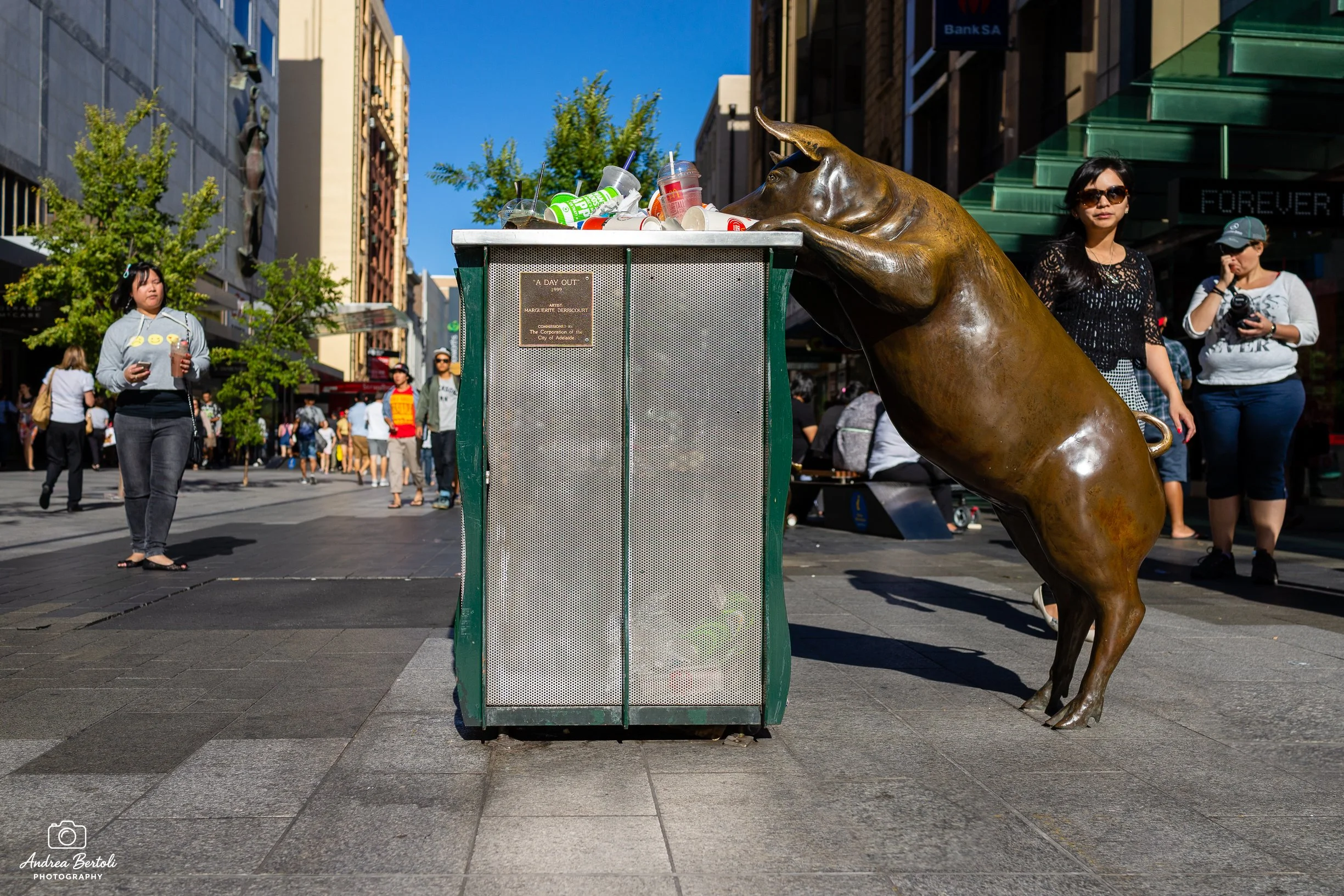 Statua di un maialino che sembra cercare di arraffare i rifiuti in un cassonetto, situato in una strada urbana affollata di Adelaide durante il giorno.