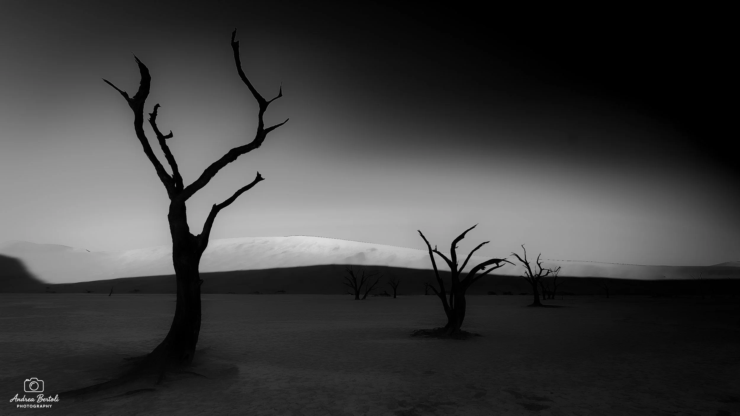 Albero spoglio e contorti in un paesaggio deserto e piatto con dune di sabbia in background sotto un cielo scuro e nuvoloso a Deadvlei.