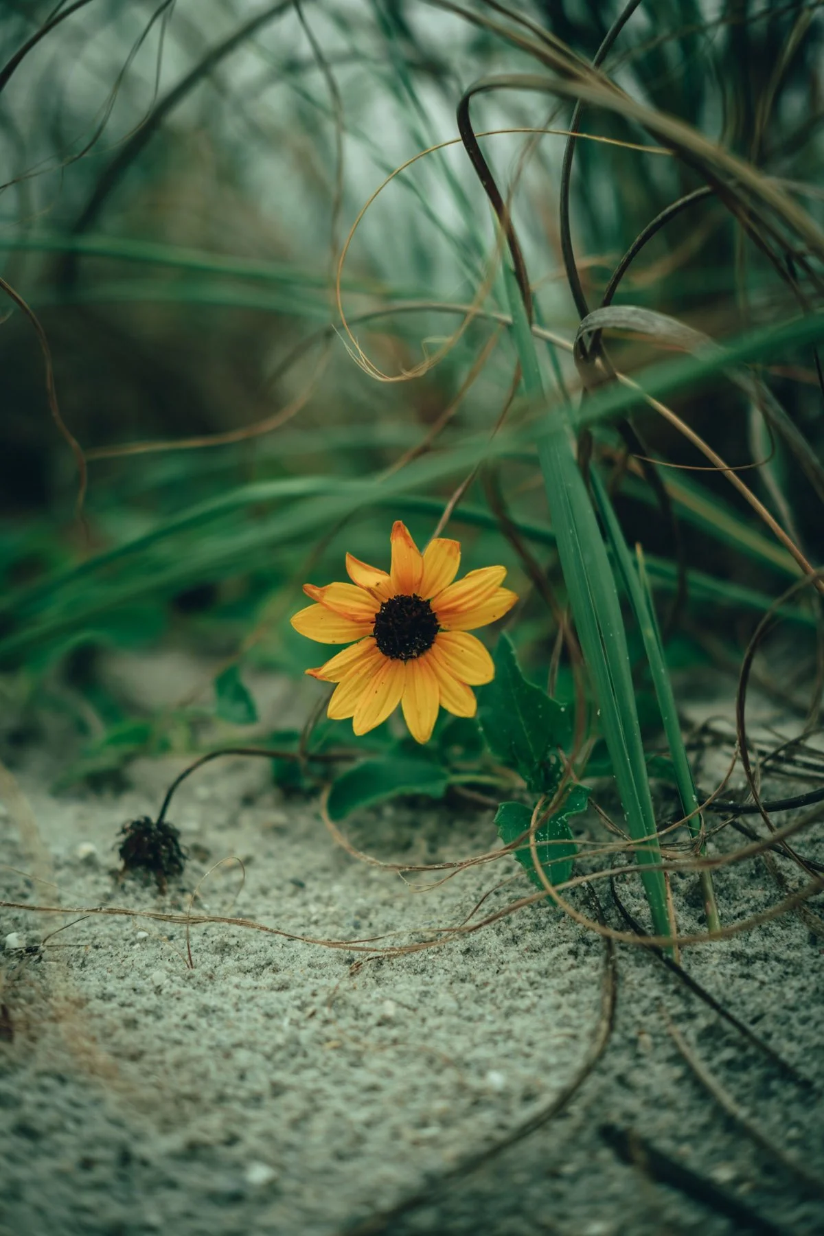 pexels-connorscottmcmanus-12183612.jpg