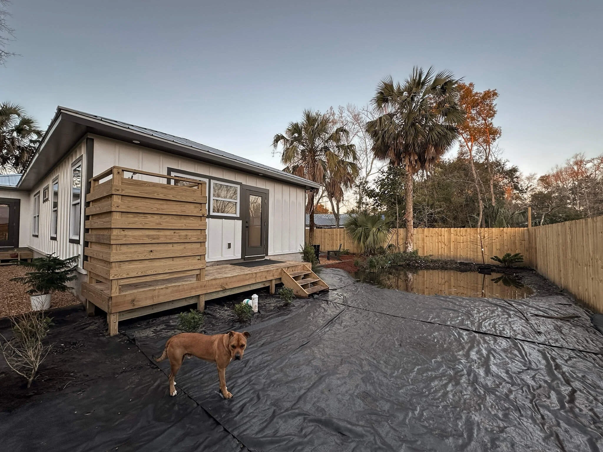 kh_existing backyard.jpg