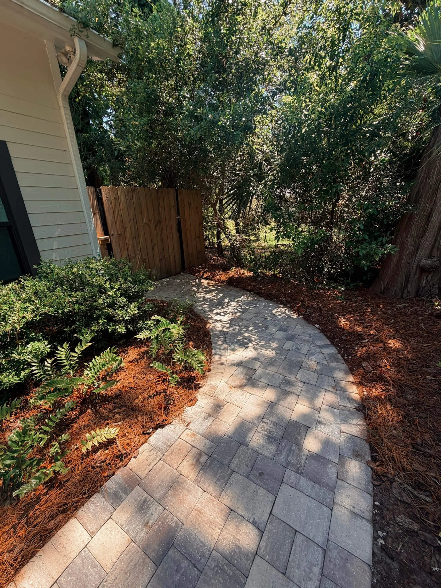gsu_side path backyard.jpg