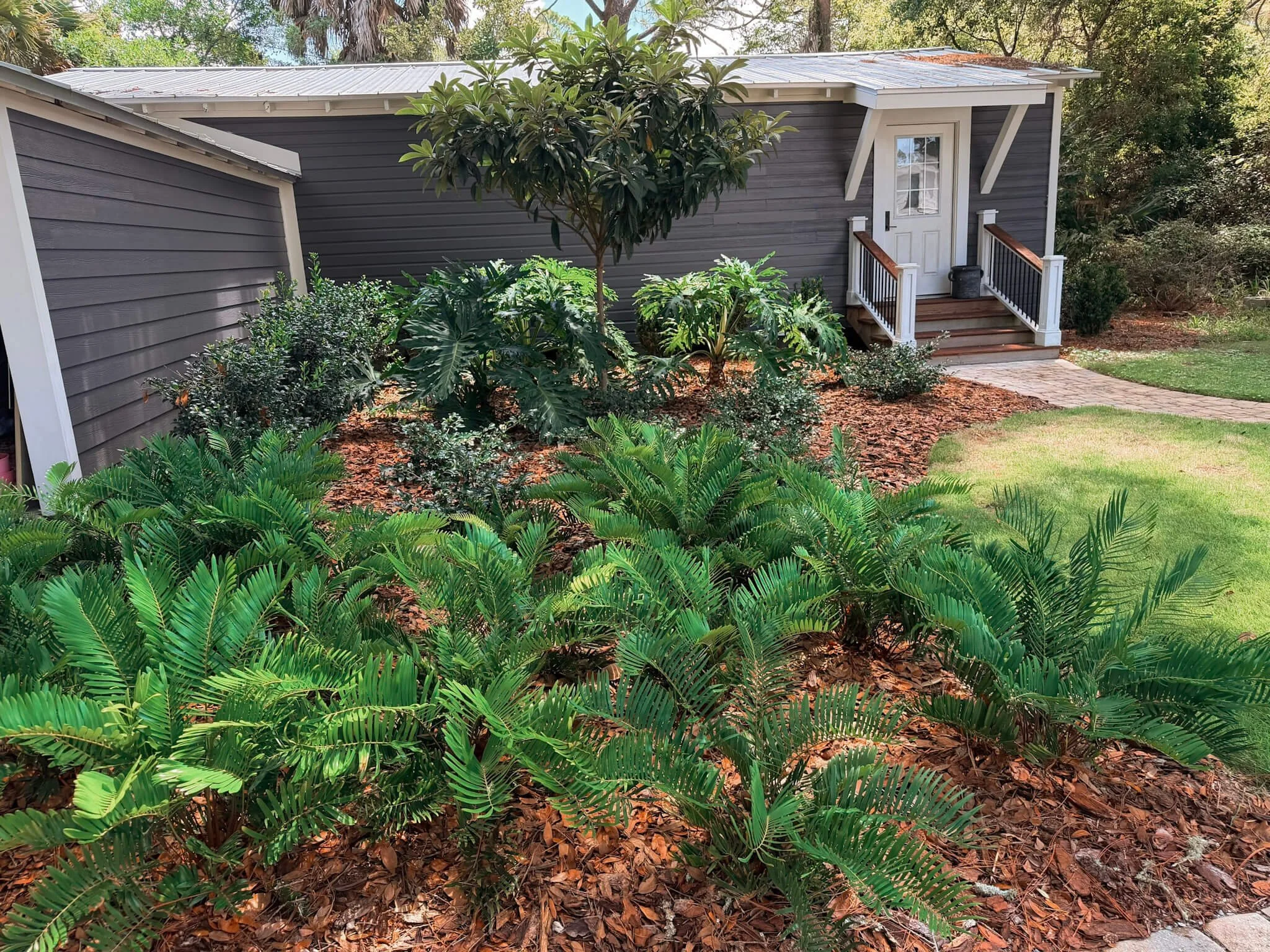 gsu_guest house planting.jpg