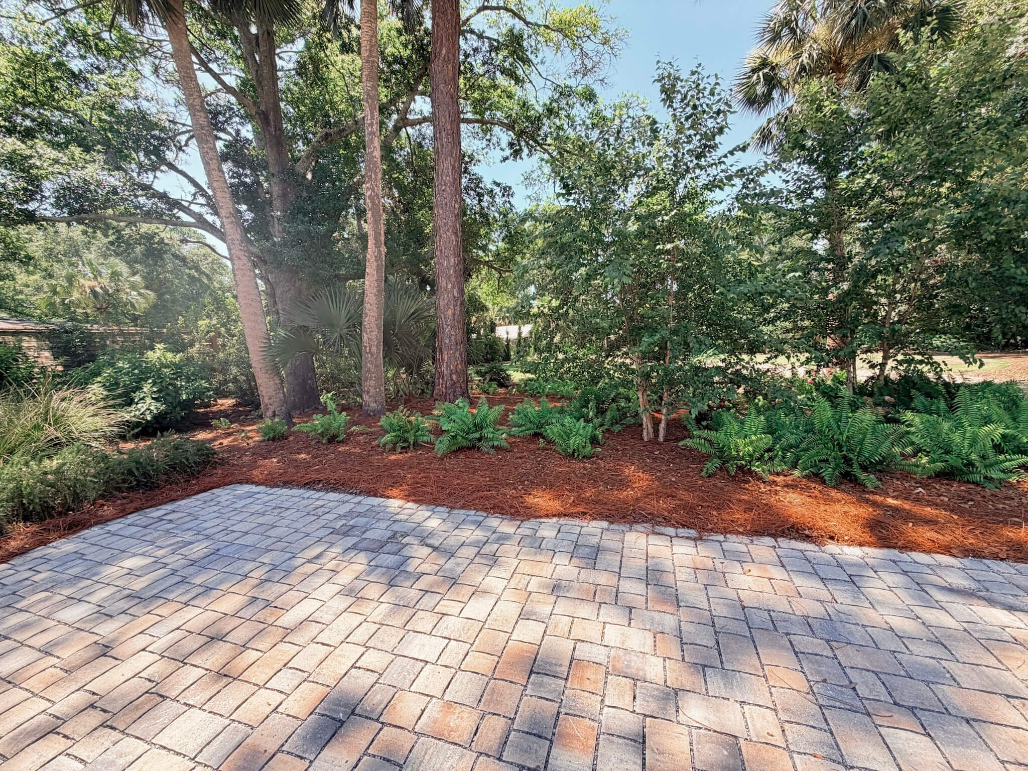 gsu_birch garden.jpg