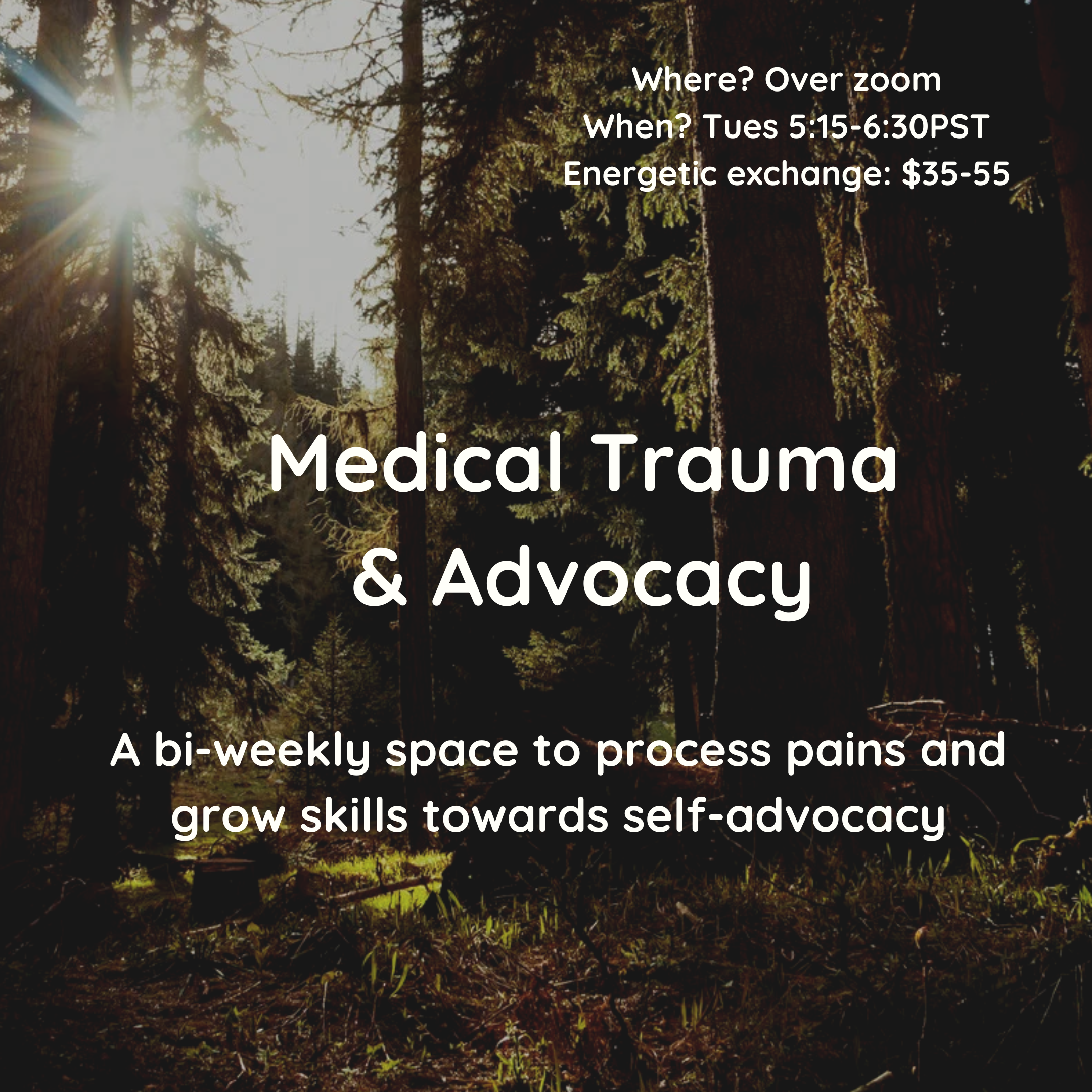 Sunlight filtering through tall trees in a forest, with green grass on the ground. Overlaid text reads: 'Where? Over zoom When? Tues 5:15-6:30 PST Energetic exchange: $35-55 A bi-weekly space to process pains and grow skills towards self-advocacy.'