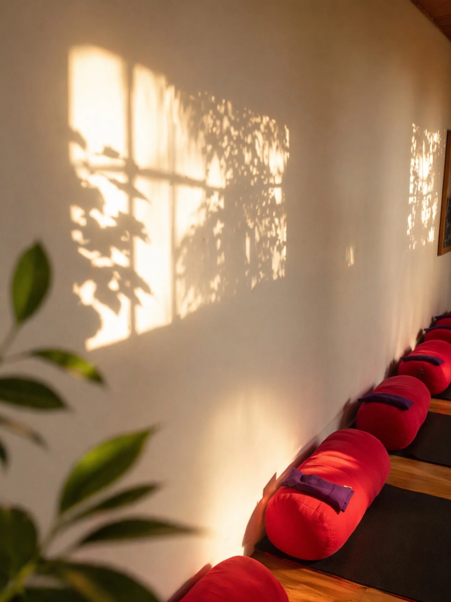Heart Opening Meditation 💛

Four spaces left for this week, Dawn Lister Therapy Centre, Leigh-on-Sea. &pound;15.

📅 Wednesday 19th August, 7pm
📅 Thursday 20th August, 6.30pm

This one&rsquo;s about softening what&rsquo;s guarded and making room to