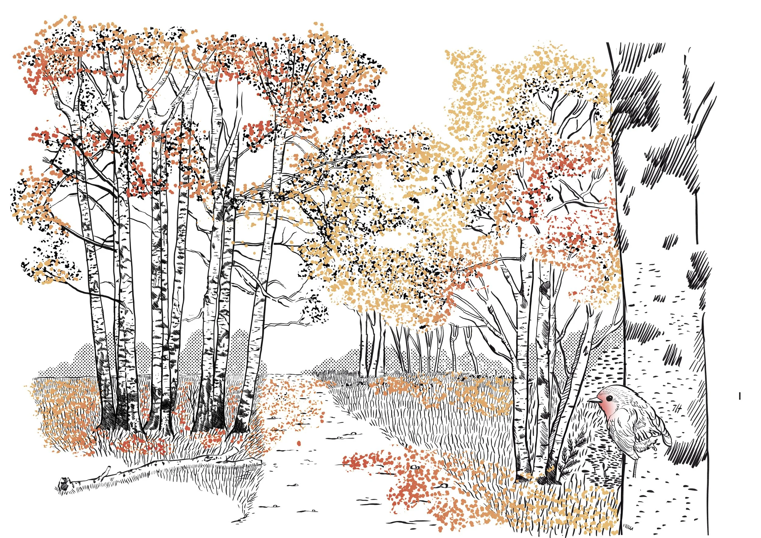 disegno_v2_2 copia.jpg