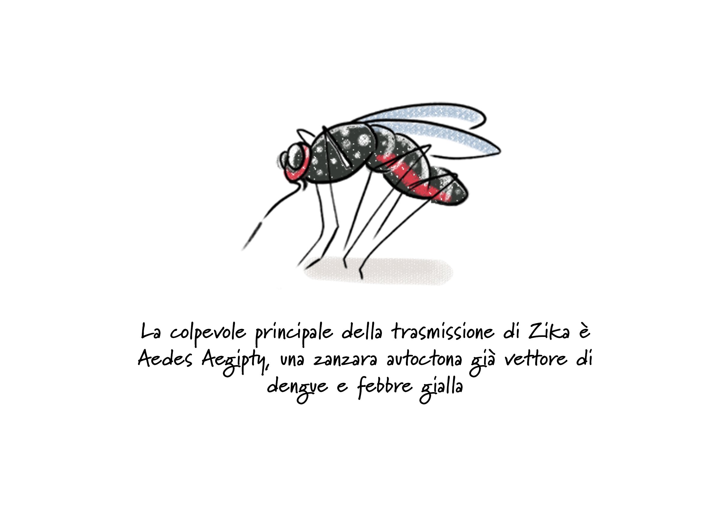 Graphic News (graphic novel digitale)