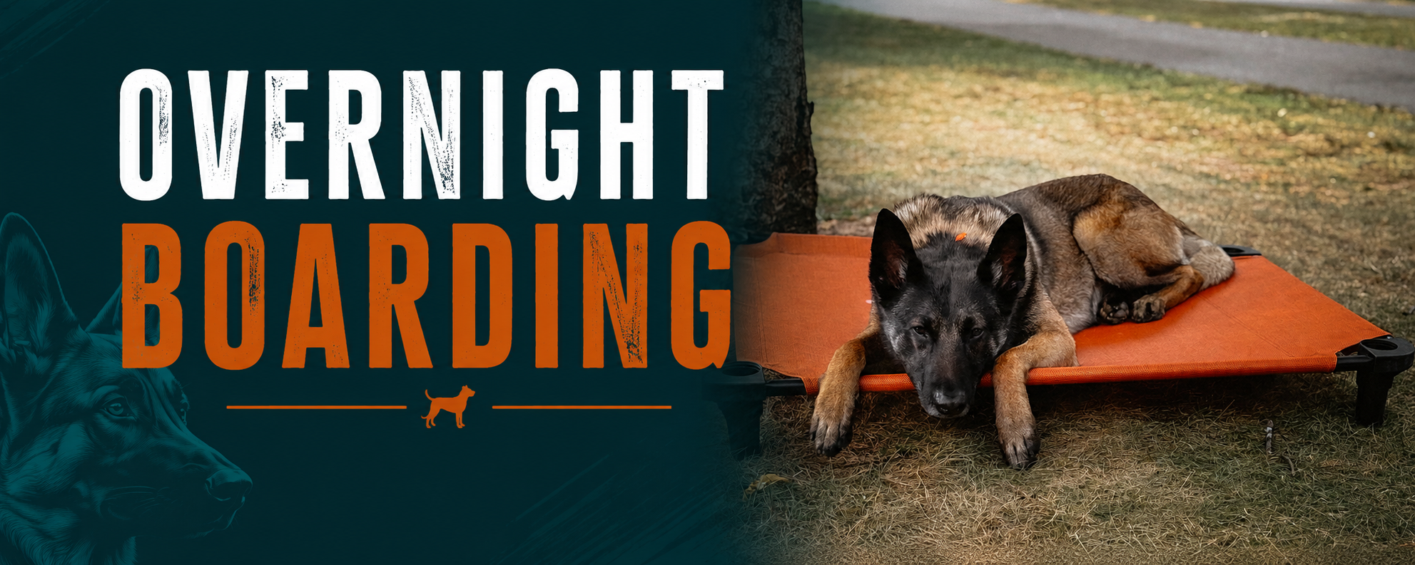 A graphic with the text 'Overnight Boarding' and a small dog icon, alongside a photo of a dog resting on an orange elevated bed outdoors on grass.