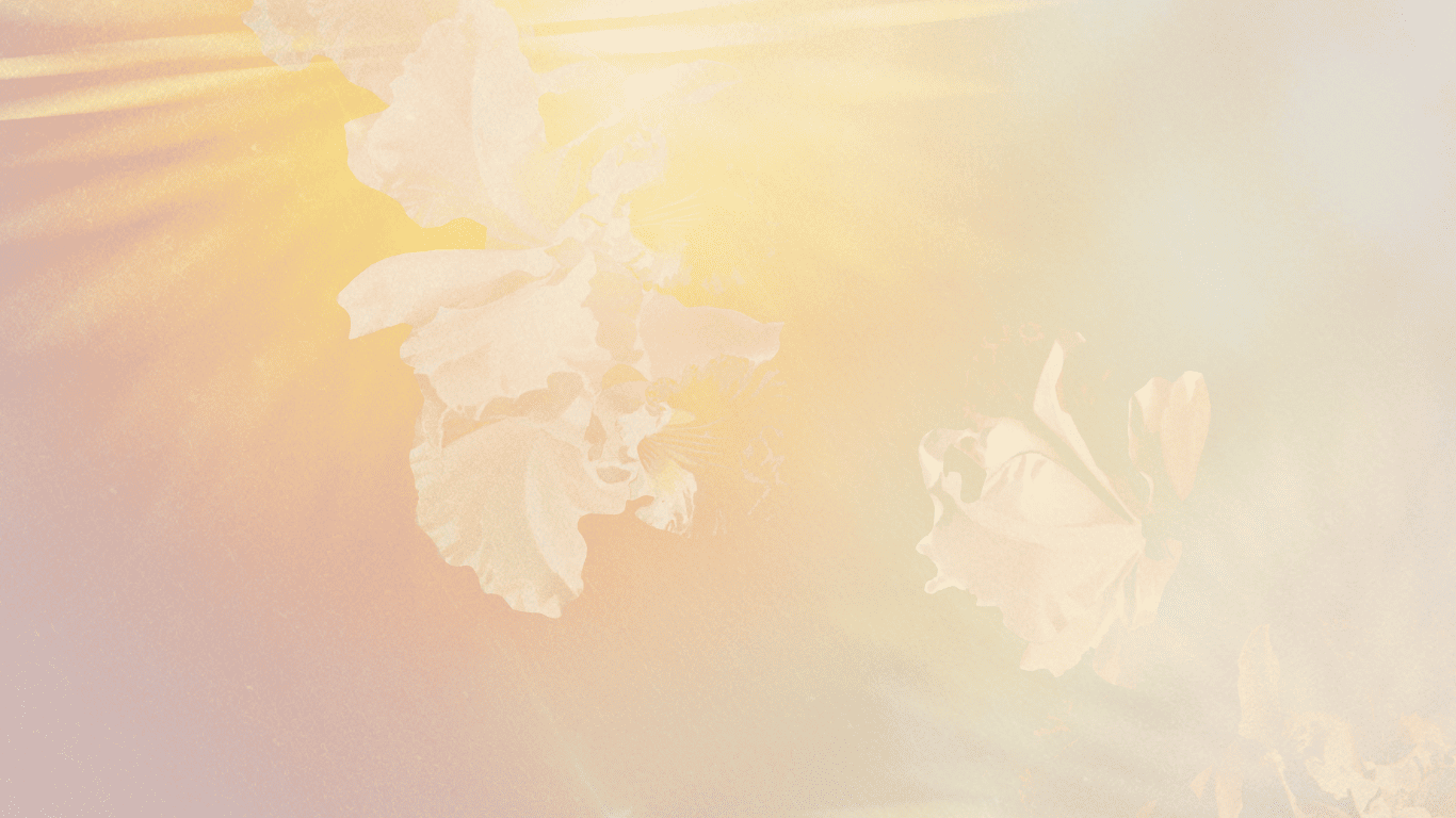 Imagen con fondo difuso y tonos pastel, con elementos digitales que parecen hojas o flores en colores suaves.