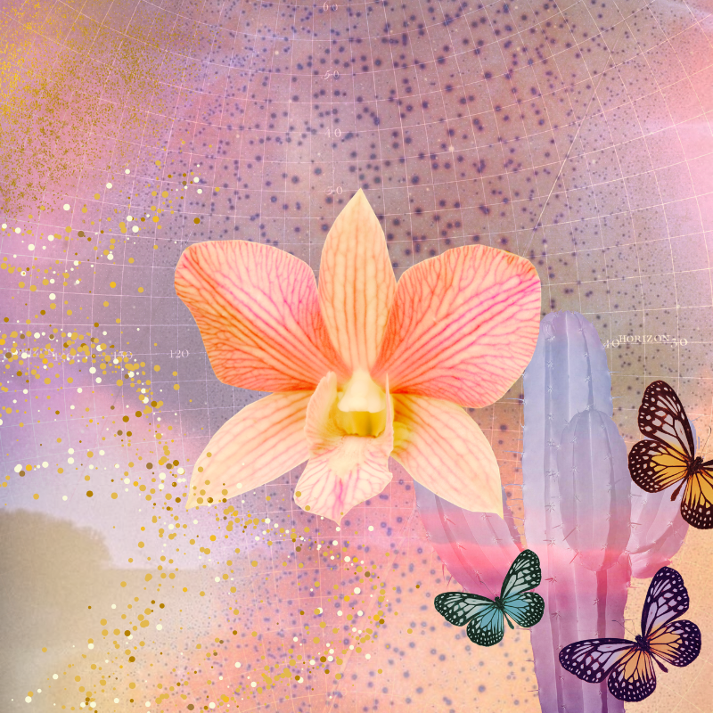 Flor de orquídea rosa, cactus y mariposas en un fondo decorativo con colores pastel y efecto de malla