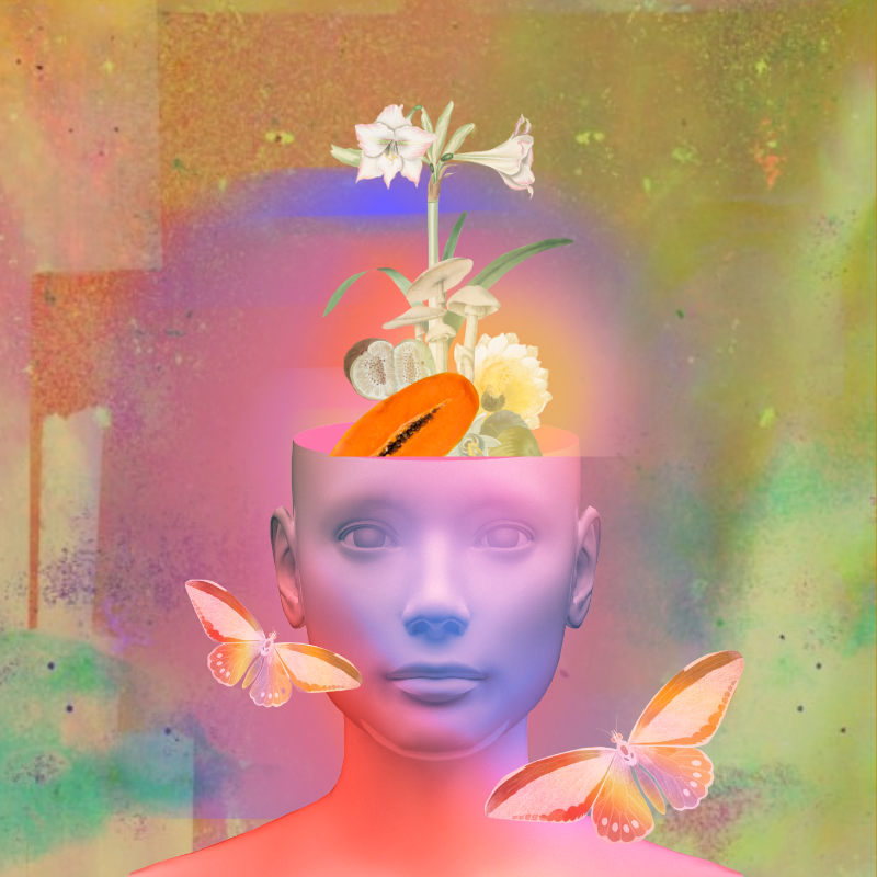 Cabeza de una figura humana con flores, frutas y hongos emergiendo de la parte superior, rodeada de mariposas sobre un fondo colorido y abstracto.
