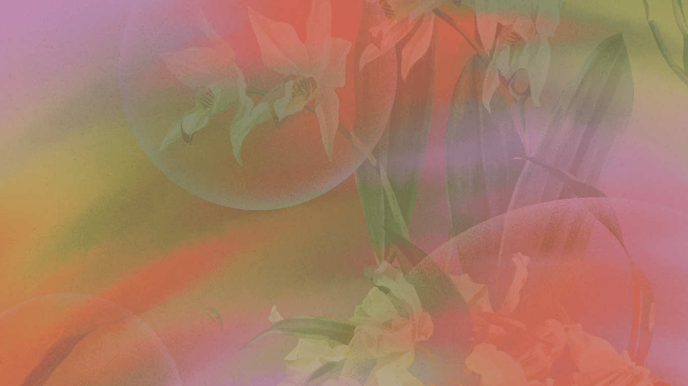 Imagen con fondo de flores, incluyendo lirios blancos y otros colores, con burbujas translúcidas y un tono general suave y difuso.