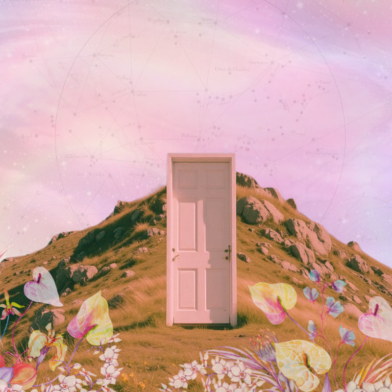 Puerta blanca en una colina con fondo de cielo rosa y estrellas, rodeada de flores coloridas y plantas, con constelaciones y nombres de estrellas en el cielo.