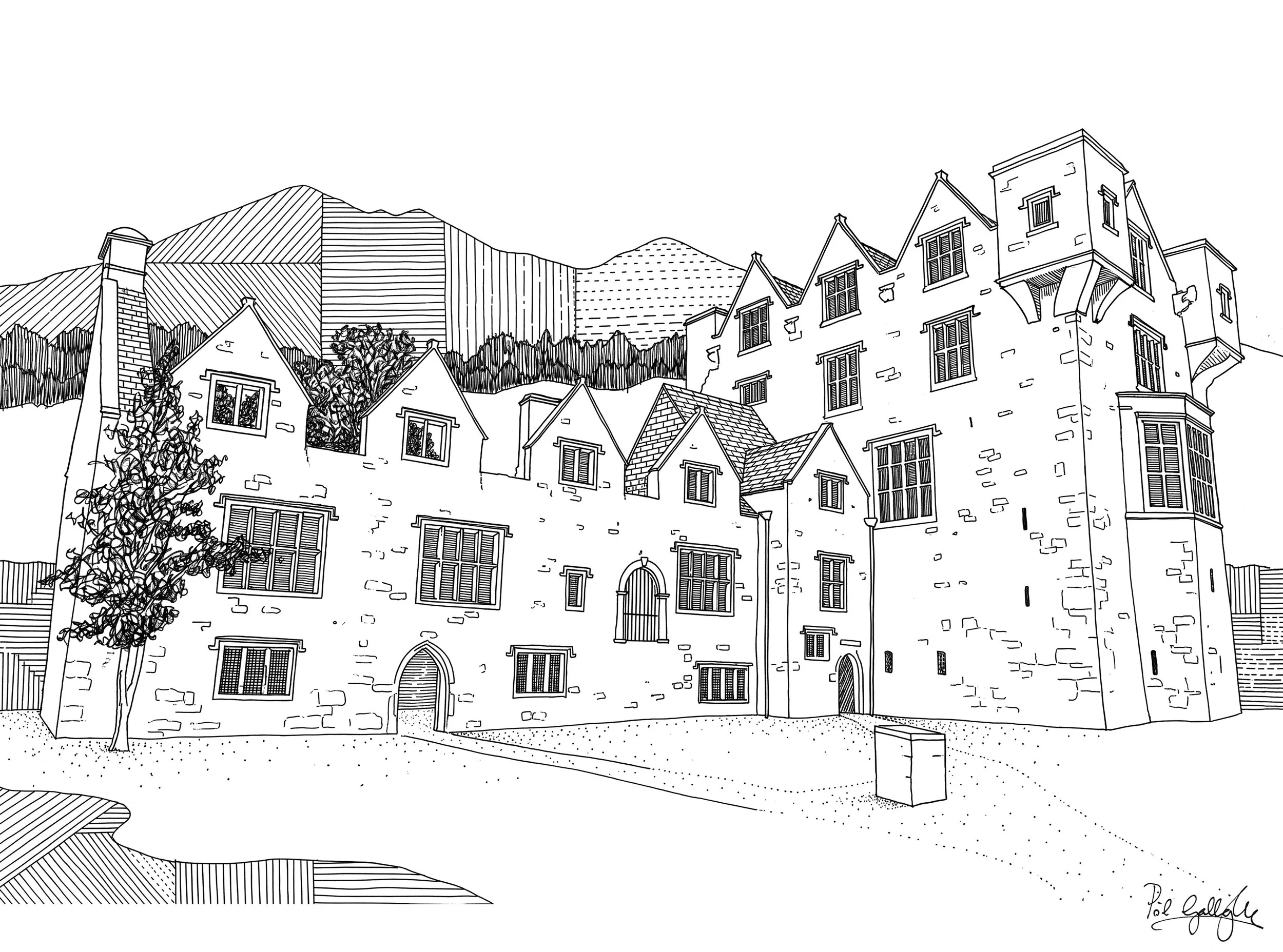54_DONEGAL_donegal castle.jpeg
