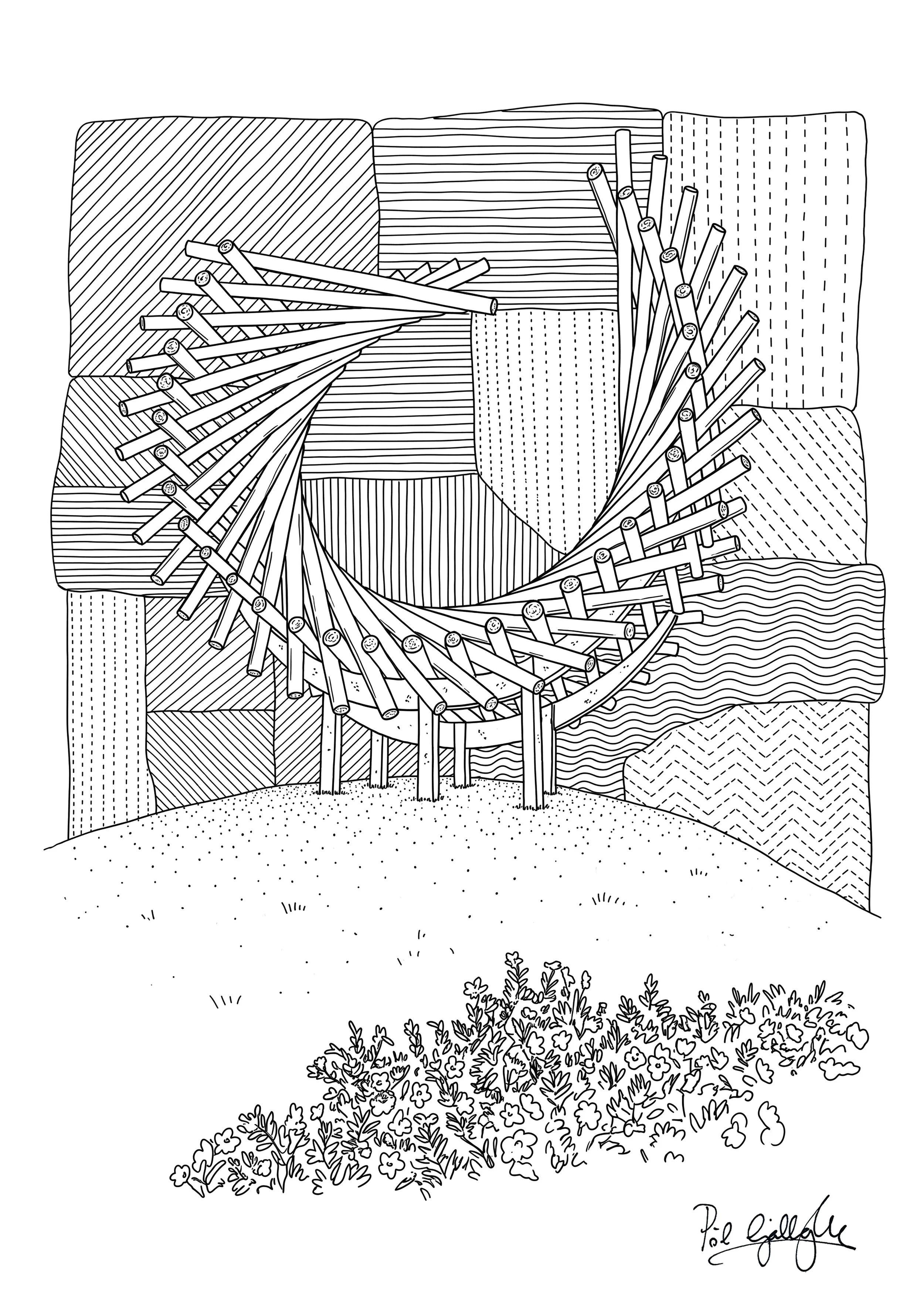 24P_LK_polestar.pg.jpg