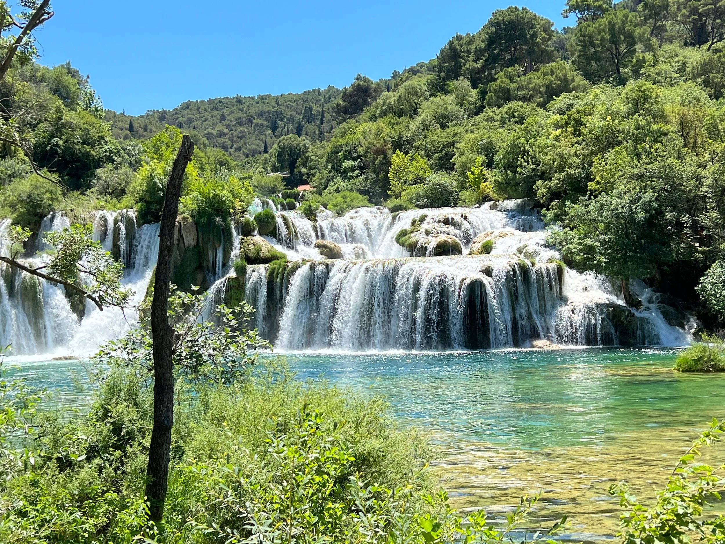 krka.jpg
