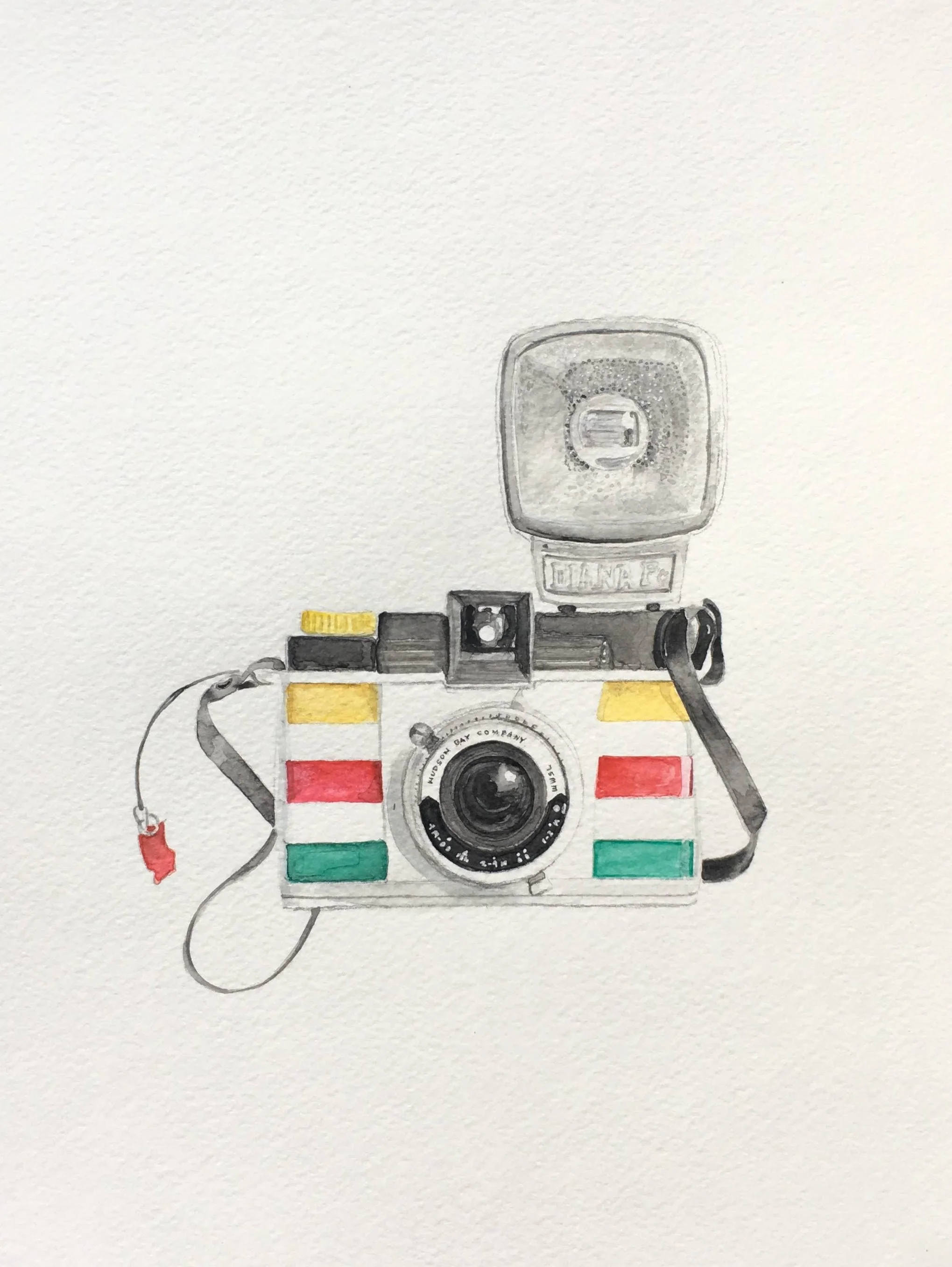Hudson Bay Camera Print