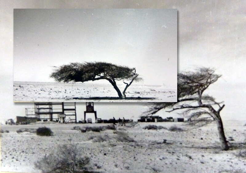 image (3).png