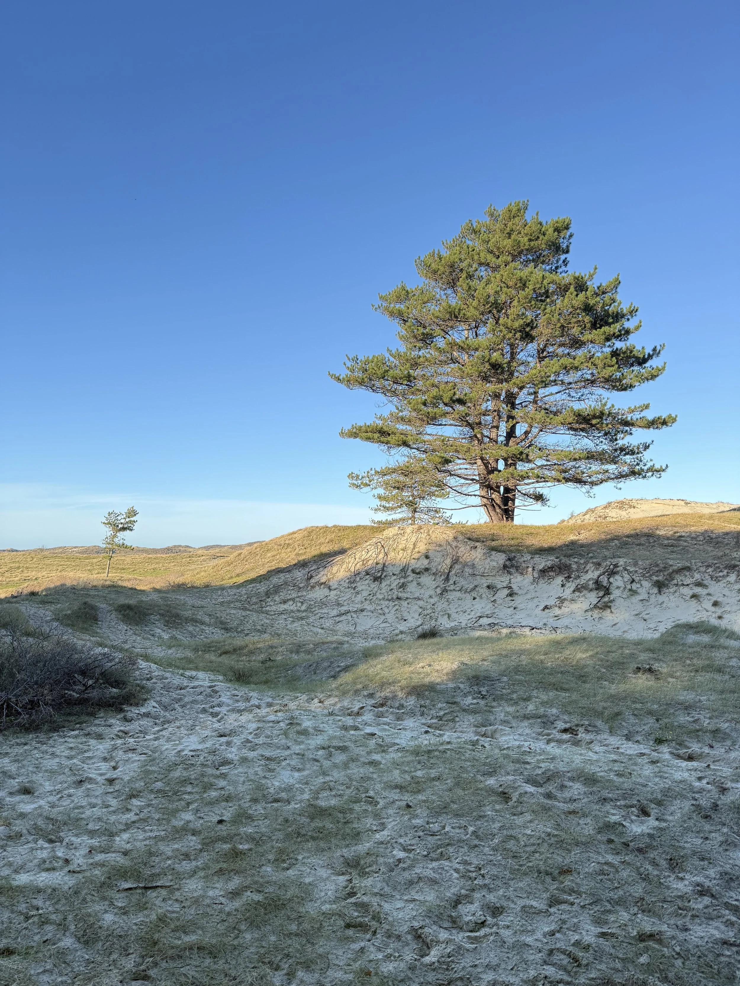 Zeeland landschap