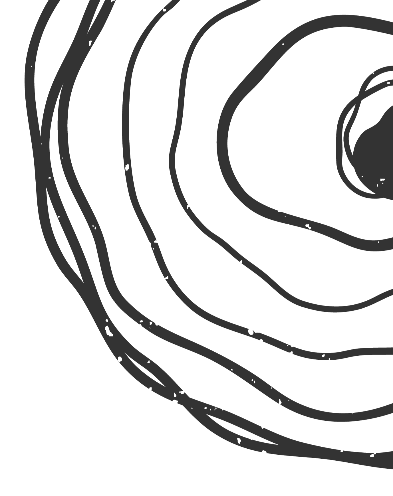 Close-up view of a black rose with white speckles in a digital artistic style.