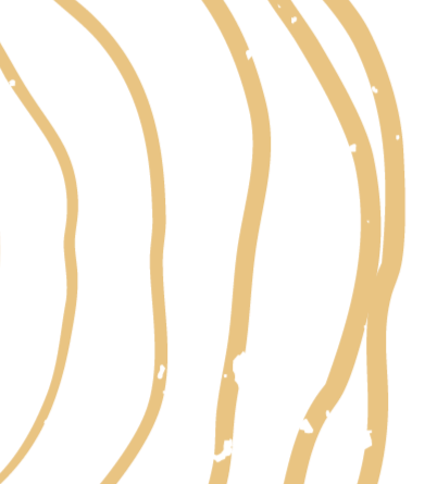 Close-up of a comb with black hair and some white lint or debris.