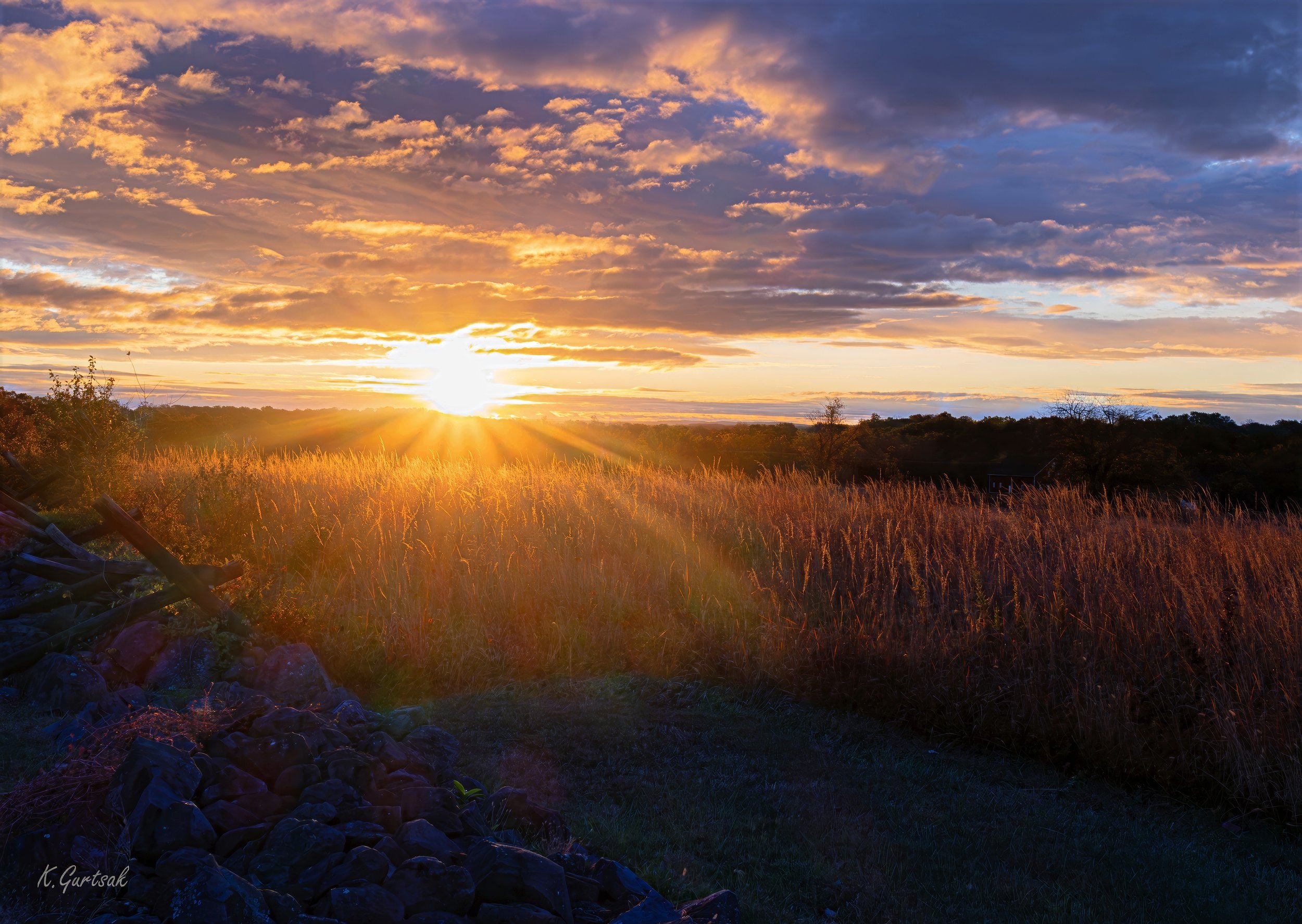 GB Sunrise Wheat_-topaz-upscale-2x-sharpen-lighting.jpg
