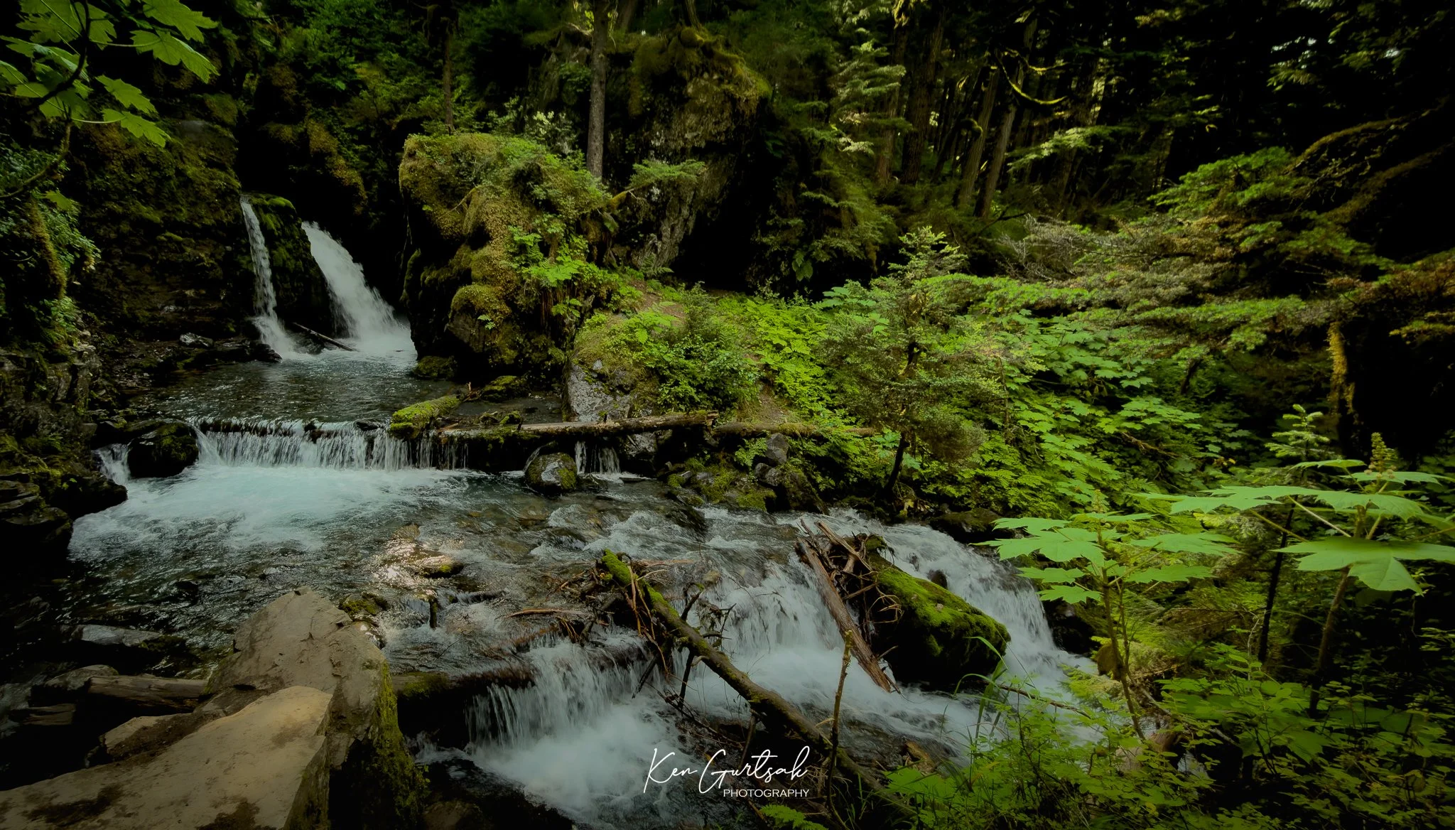 Waterfall Woods (1 of 1).jpg