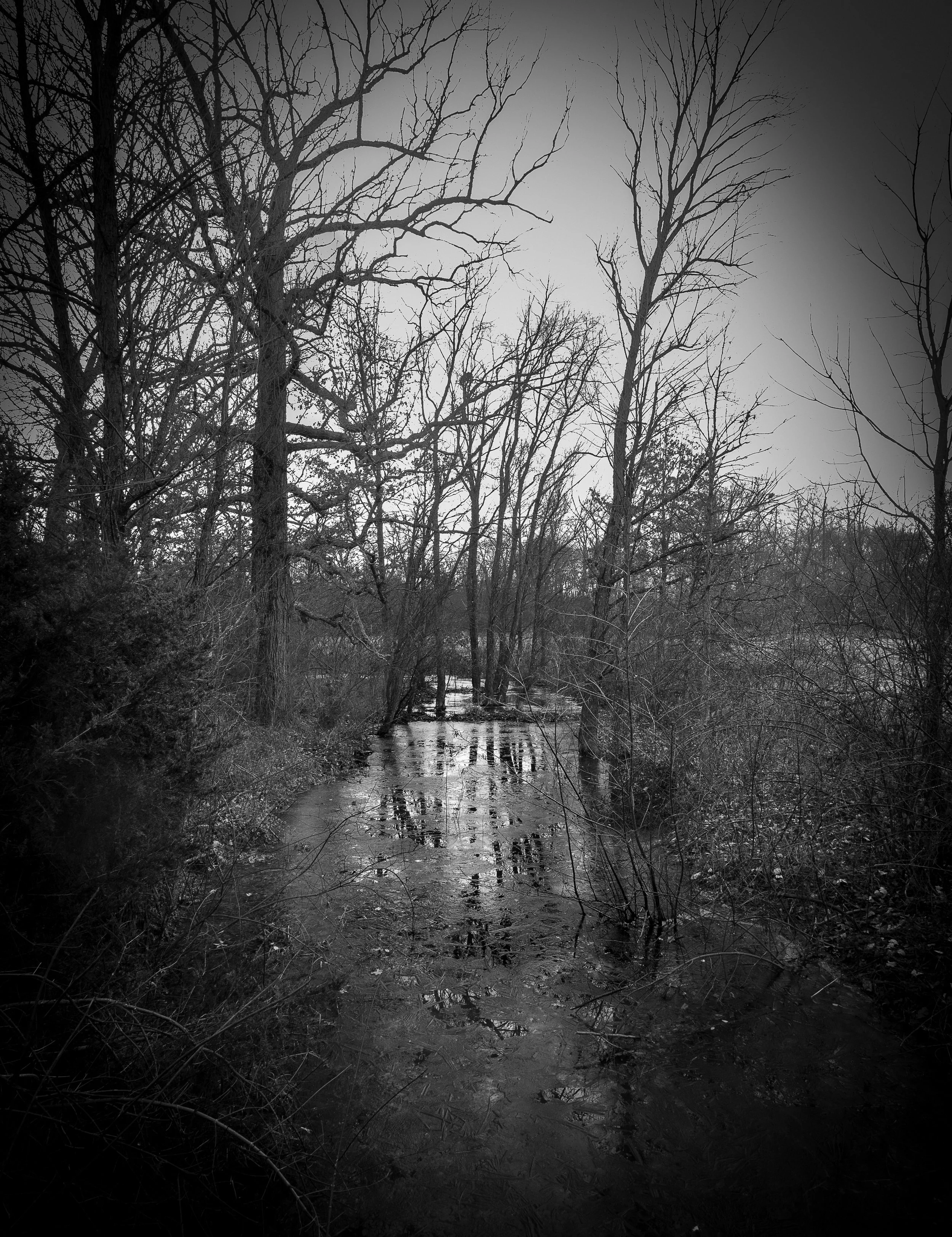 GB Frozen BW Creek.jpg