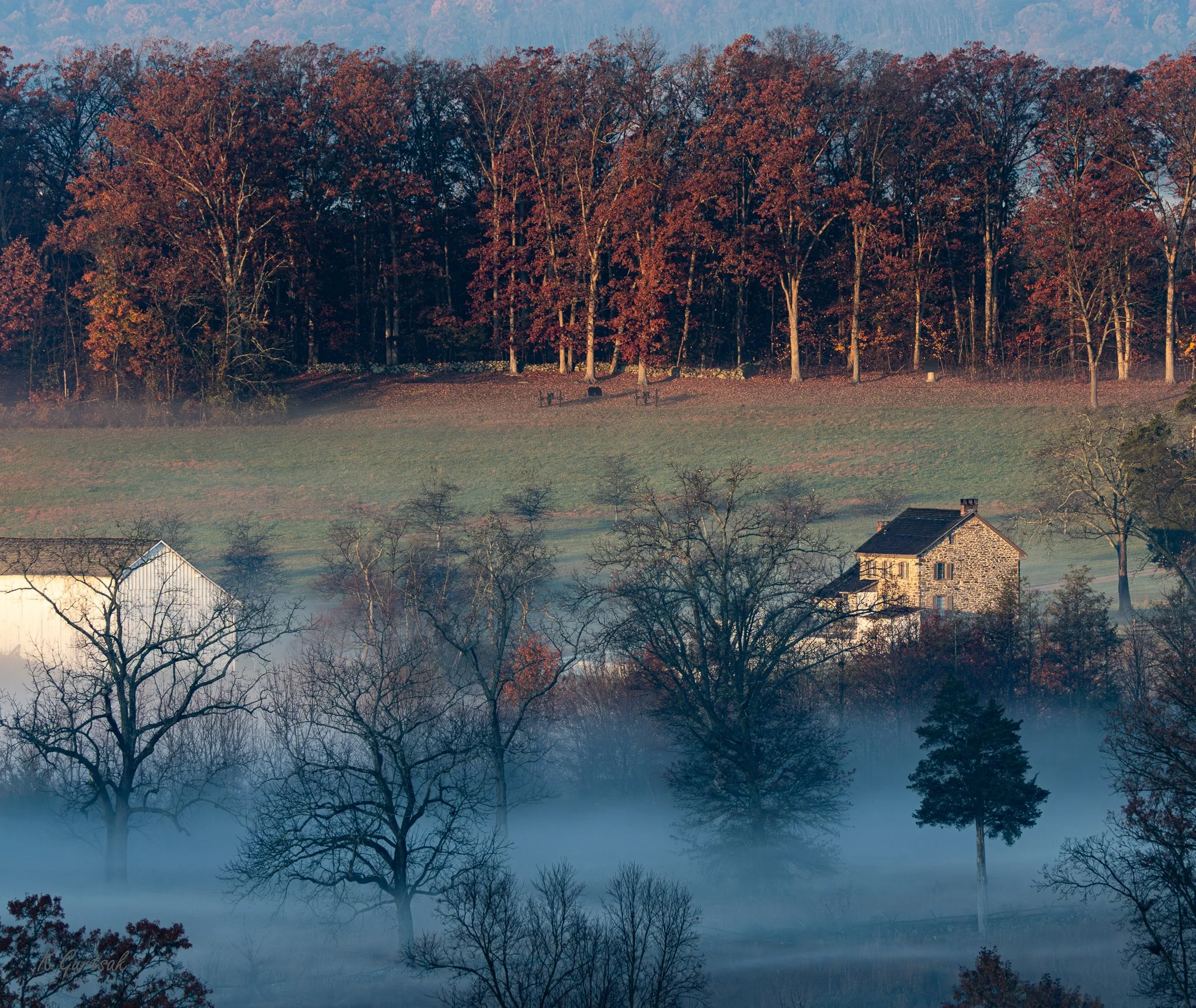 Farm 1-1.jpg
