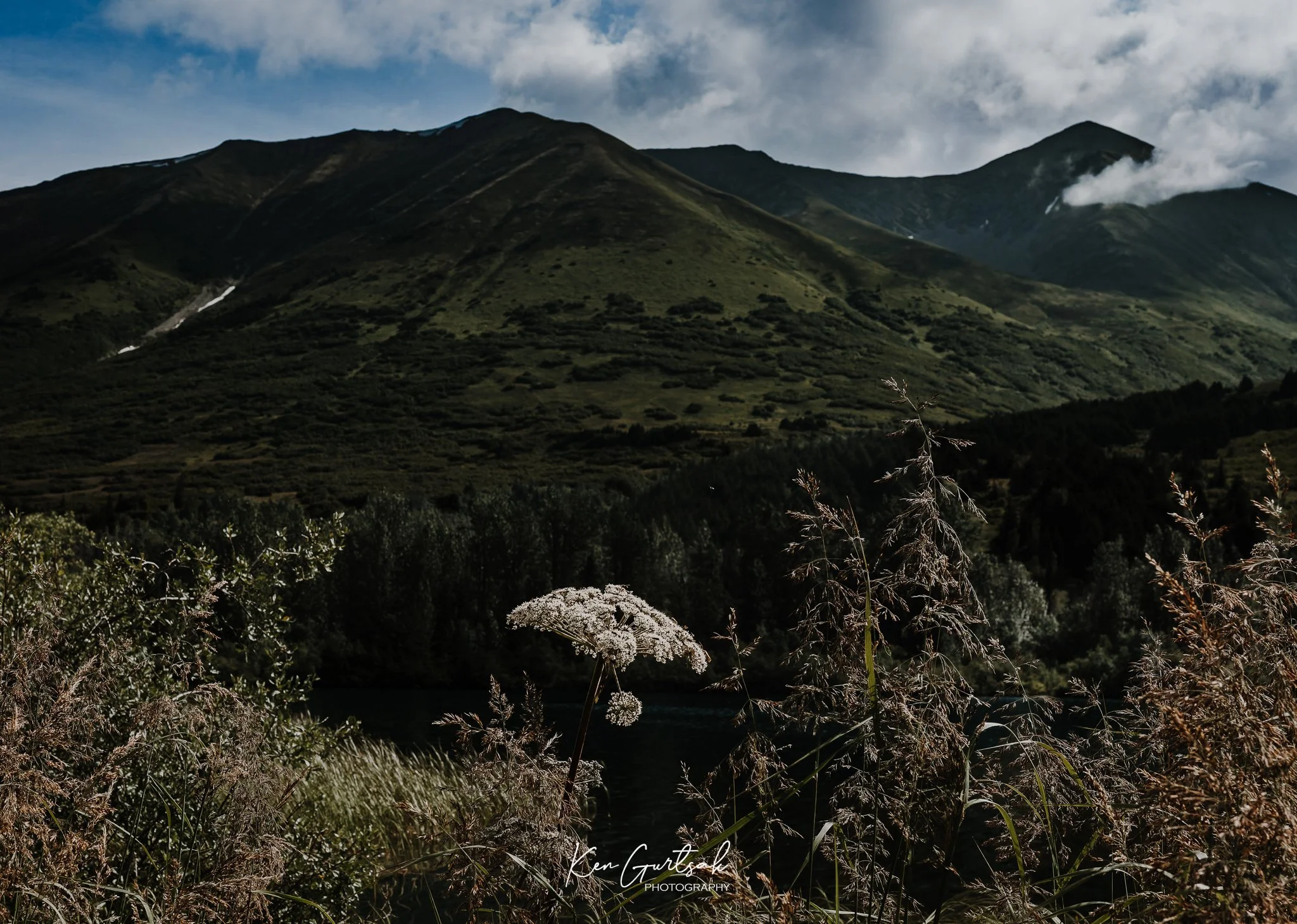 Flower Mountain (1 of 1).jpg