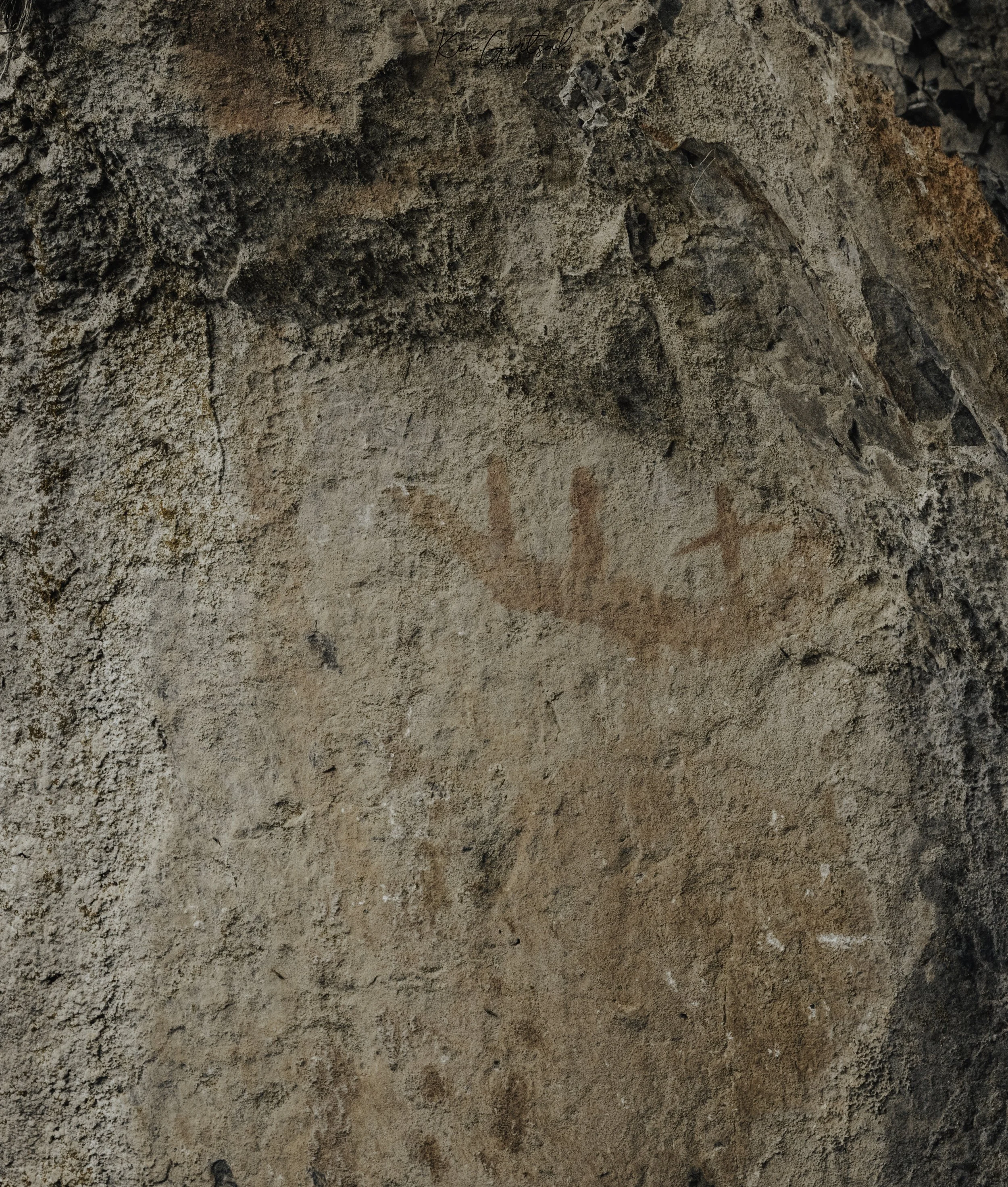 Wall MArkings.jpg
