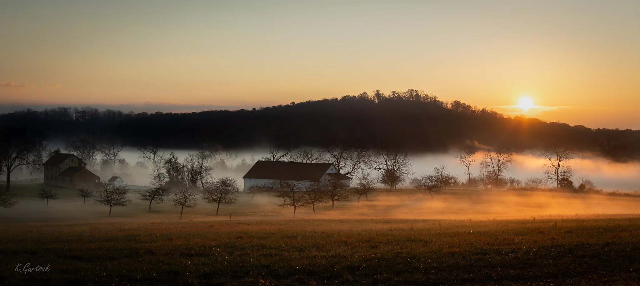 Farm-1.jpg