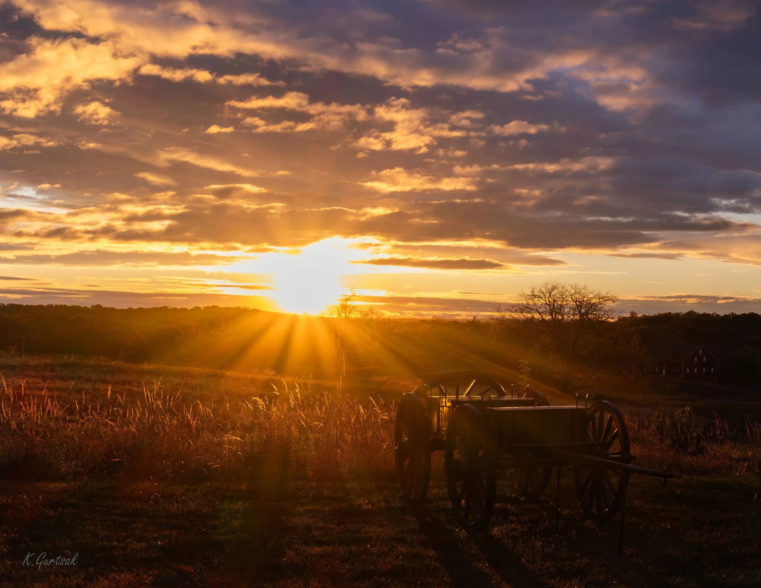 GB Sunrise Wheat  1-topaz-upscale-1.9x-sharpen.jpg