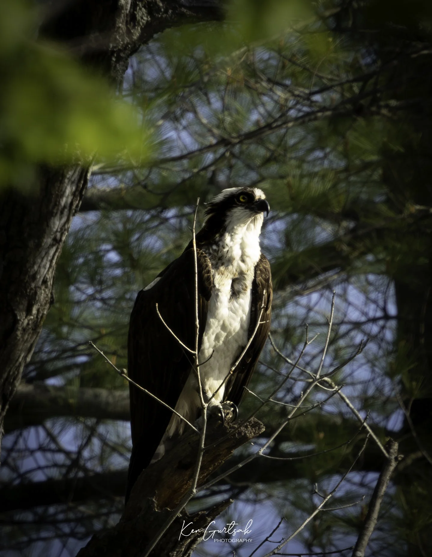 CeceEnzo (1 of 1)-2.jpg