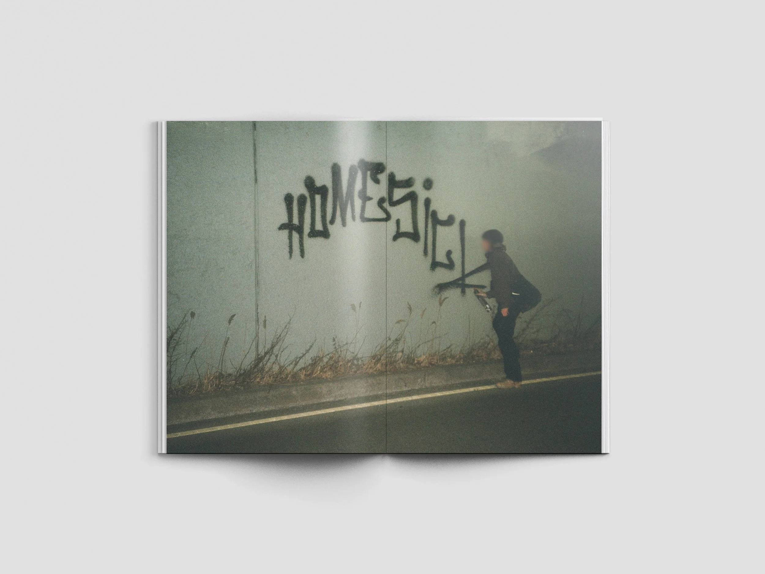 Homesick Zine 2.jpg