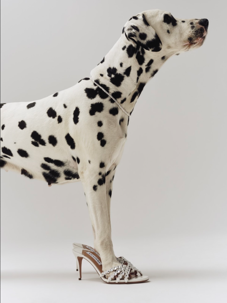 Level Shoes Campaign 