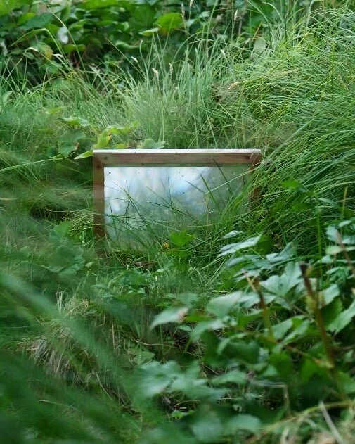 Screen