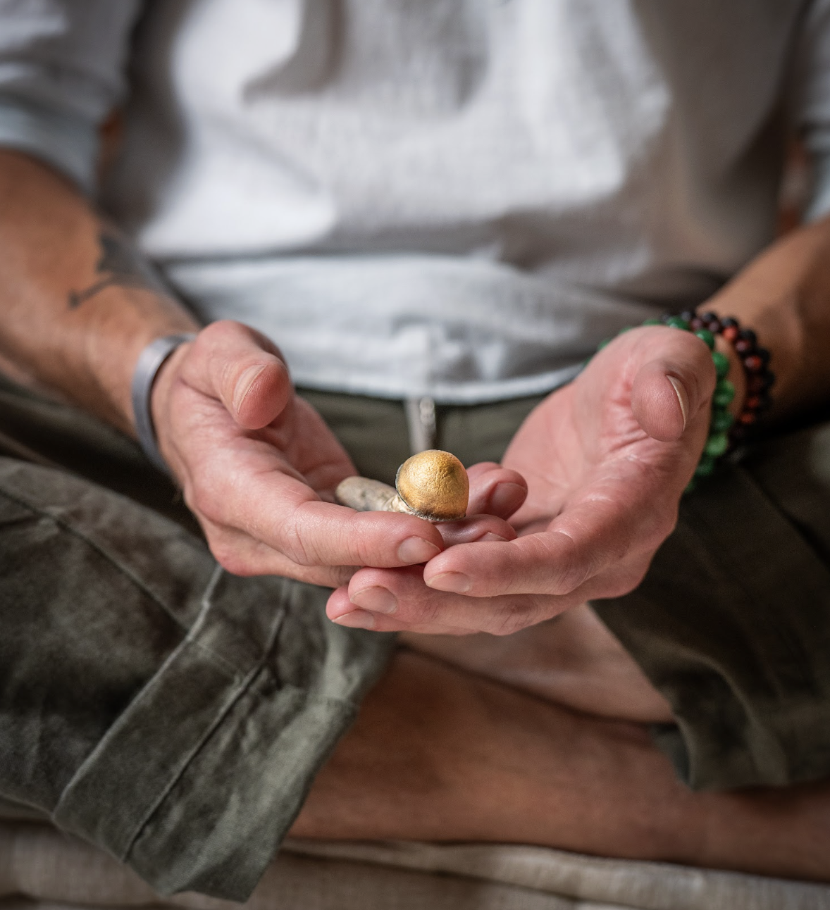 A person holding a mushroom in their palms, with tattoos, wristbands, and beaded bracelets visible.