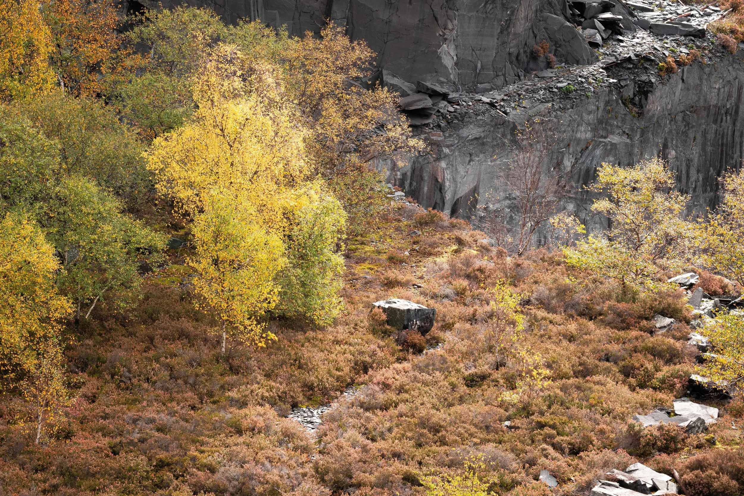 The Quiet Flame of the Quarry III