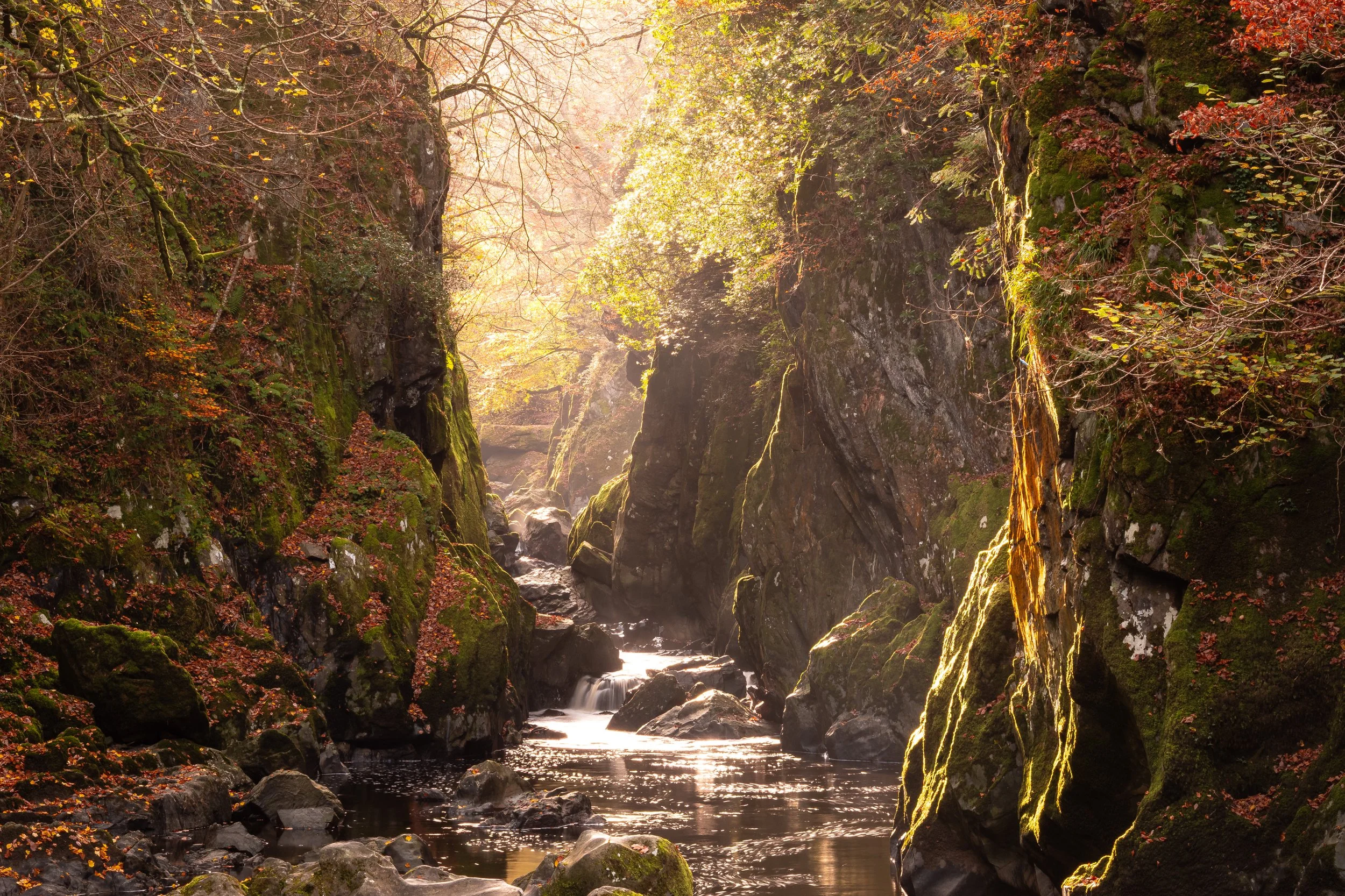 Through the Autumn Veil
