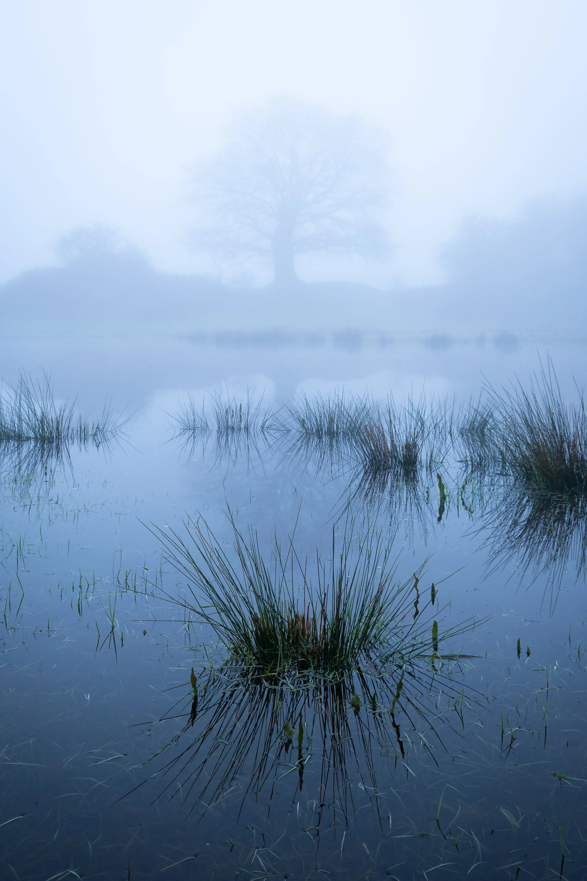 Where the Water Sleeps
