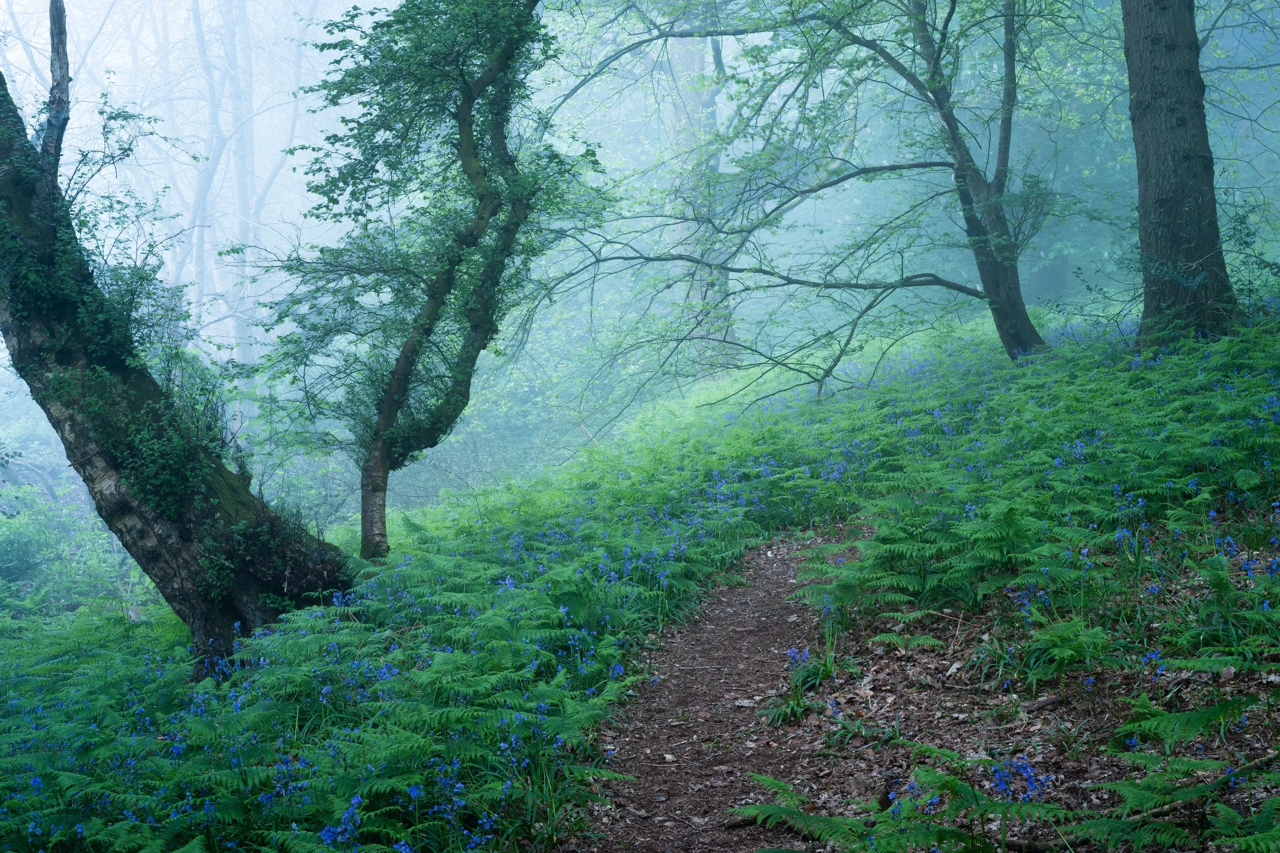 Mystical