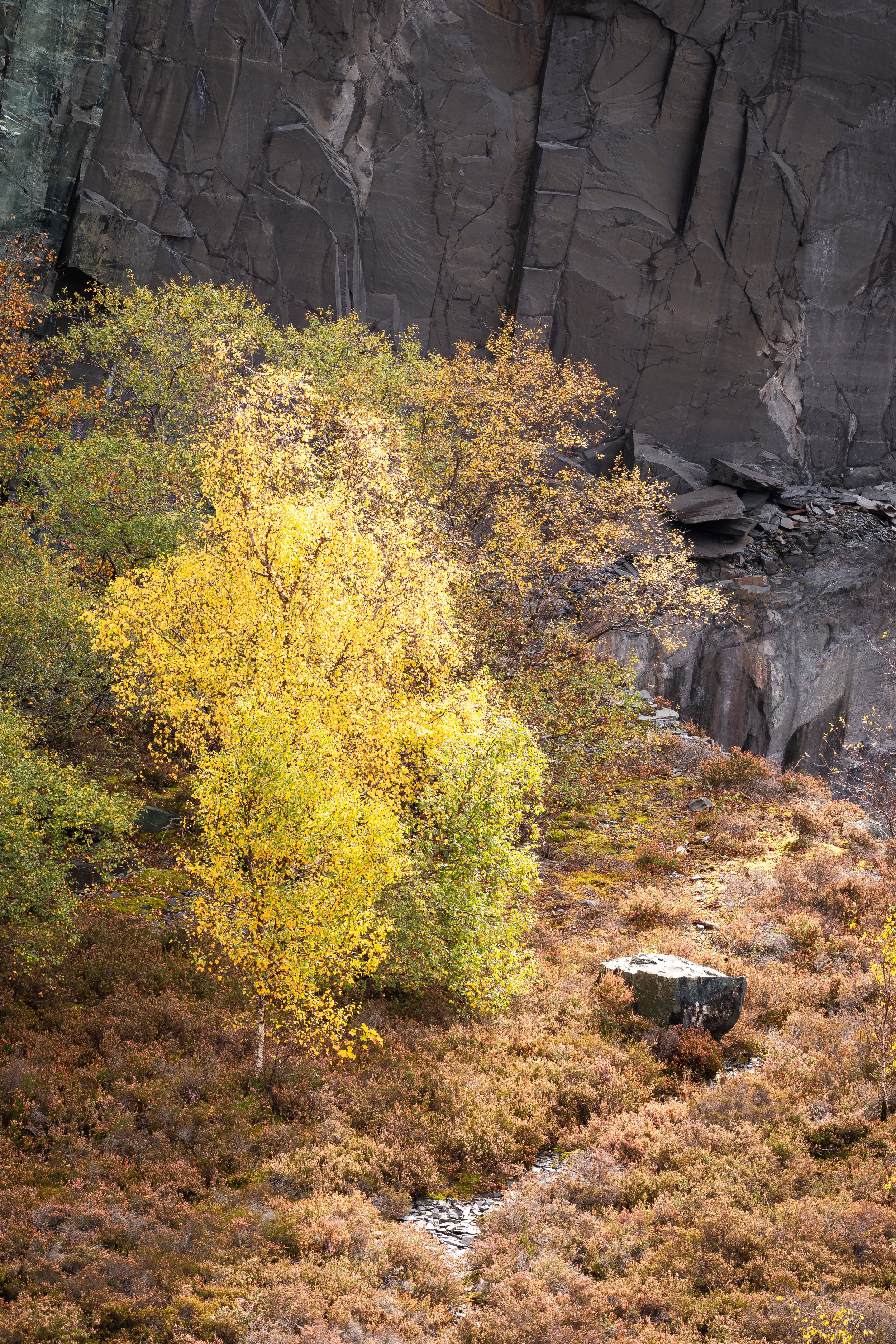 The Quiet Flame of the Quarry II