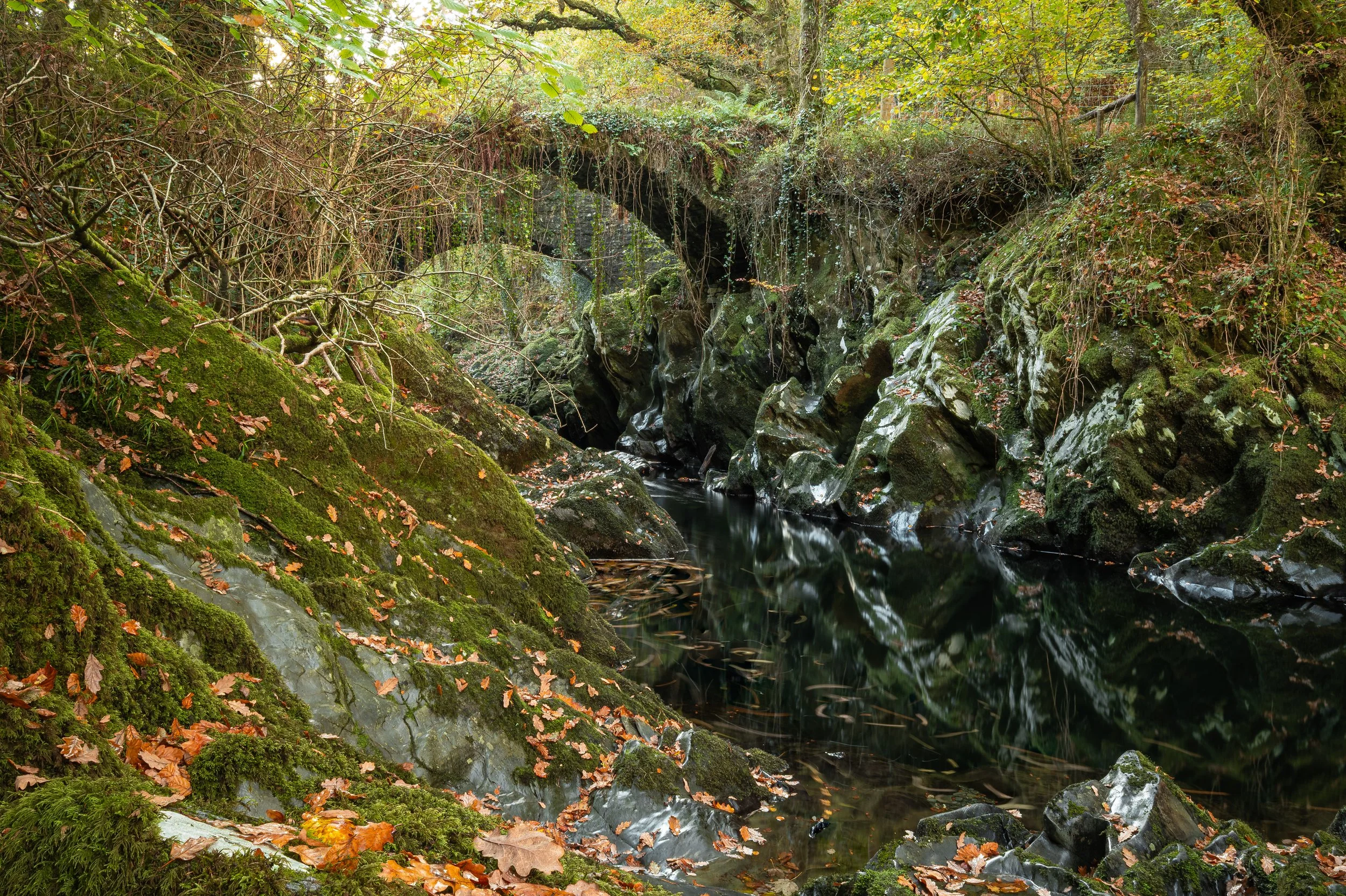 Where the Water Darkens