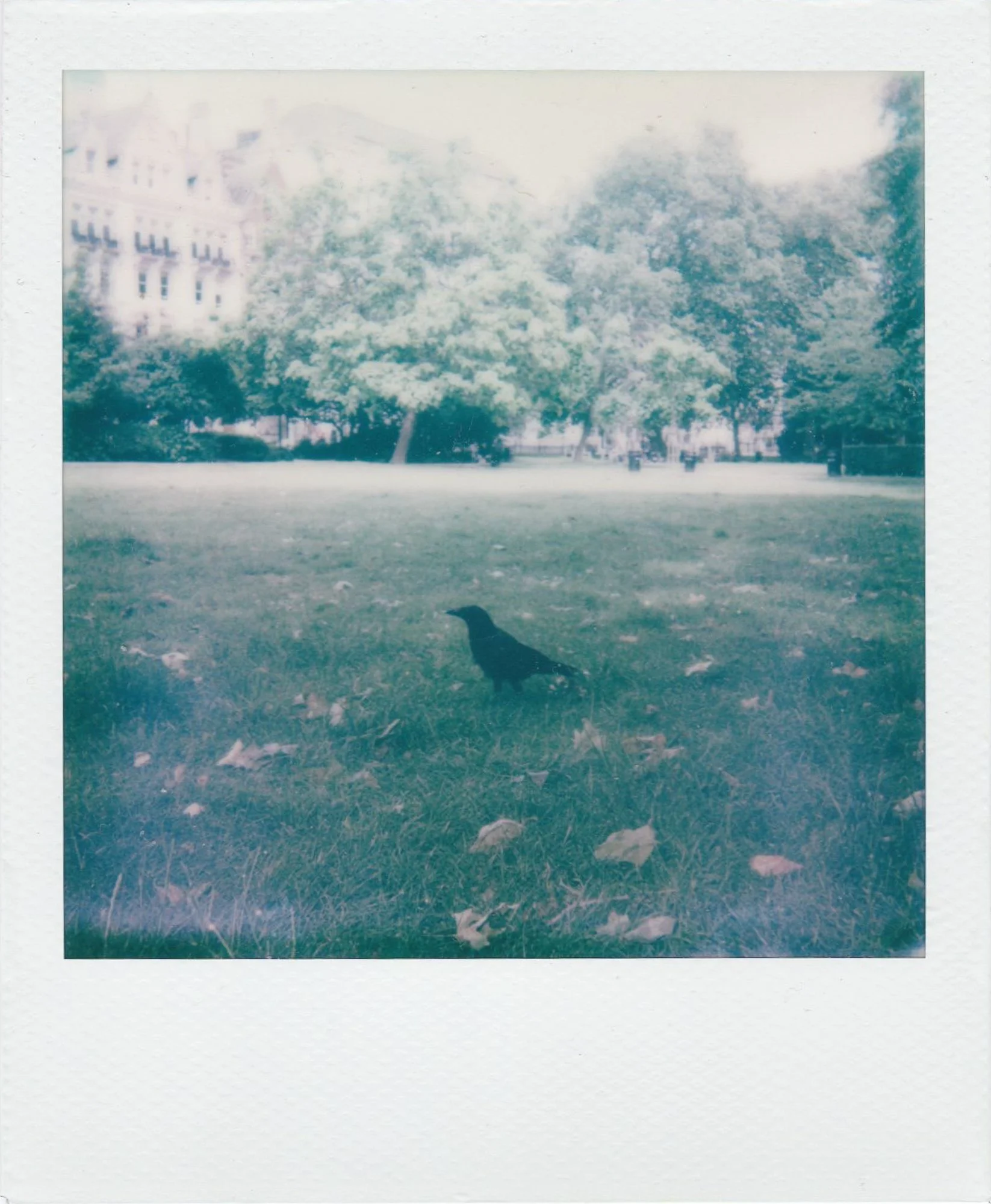 Polaroids-03.jpg