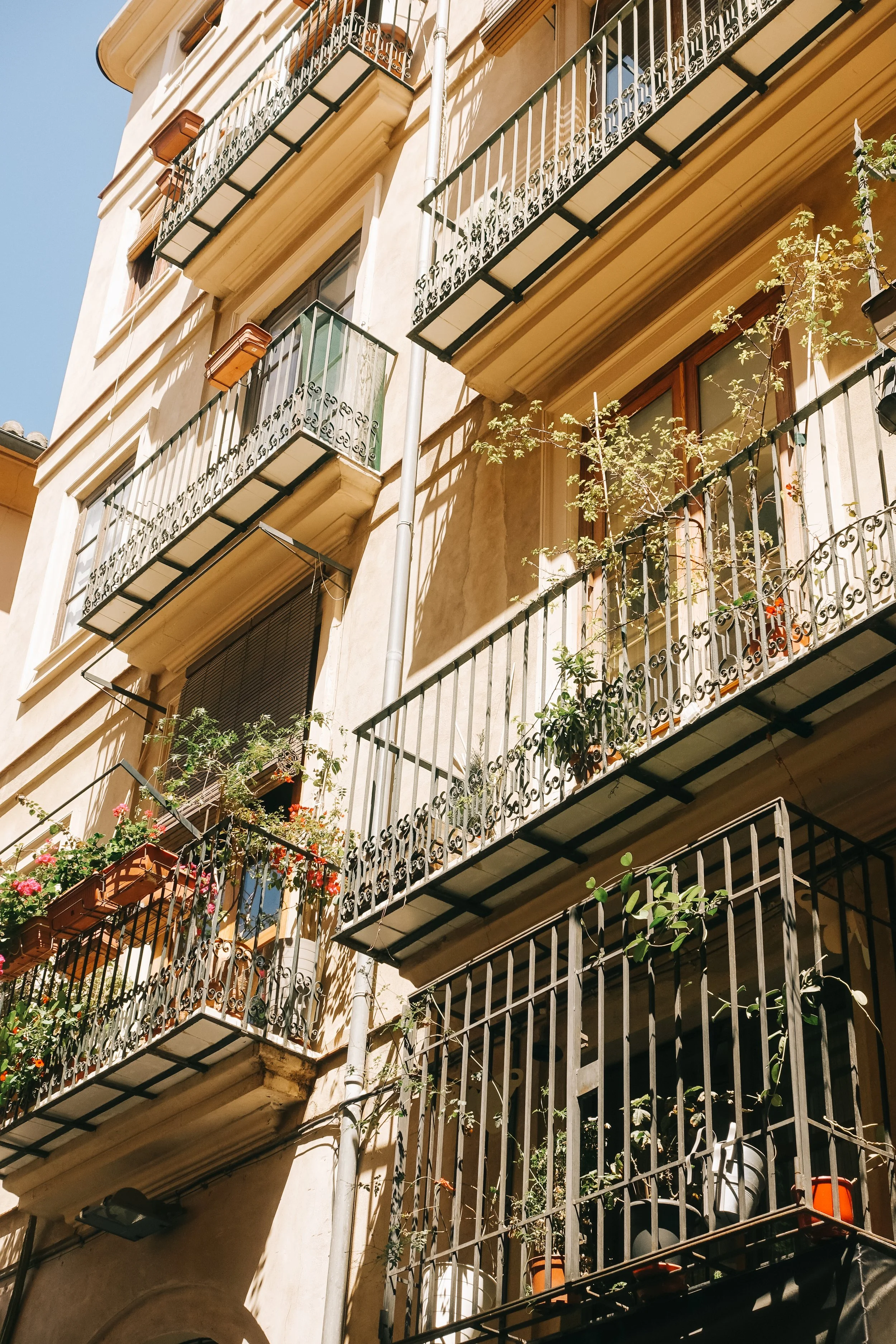 Multiple apartment balconies with potted plants and flowers on a beige building under a clear blue sky.