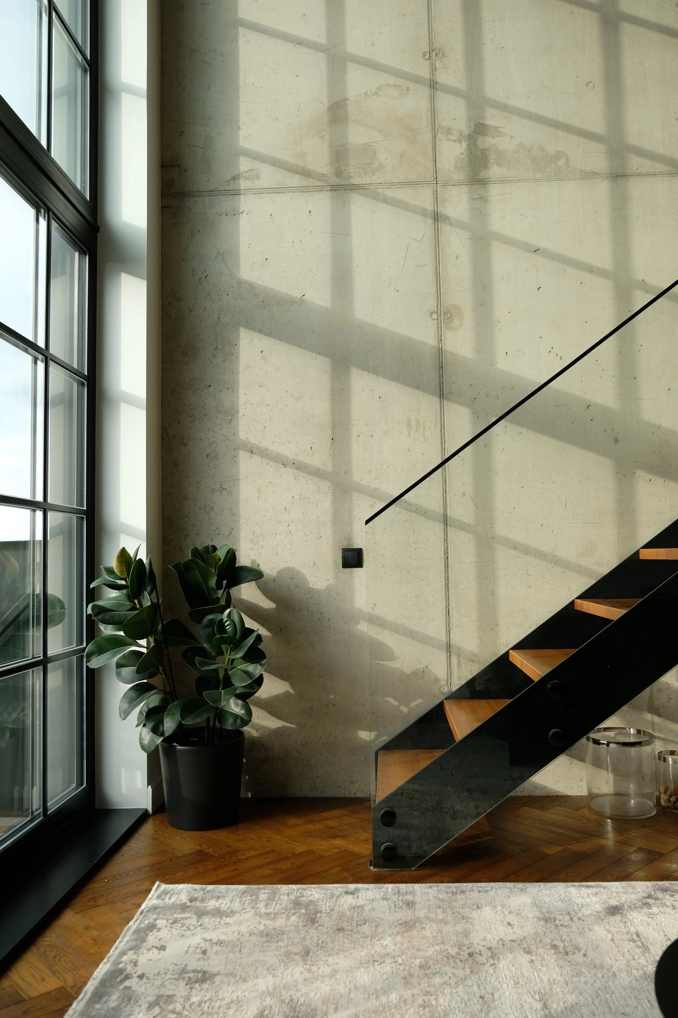 Sunlit modern interior with concrete wall, staircase with wooden steps and black metal frame, potted plant, window, and a light-colored rug on hardwood floor.